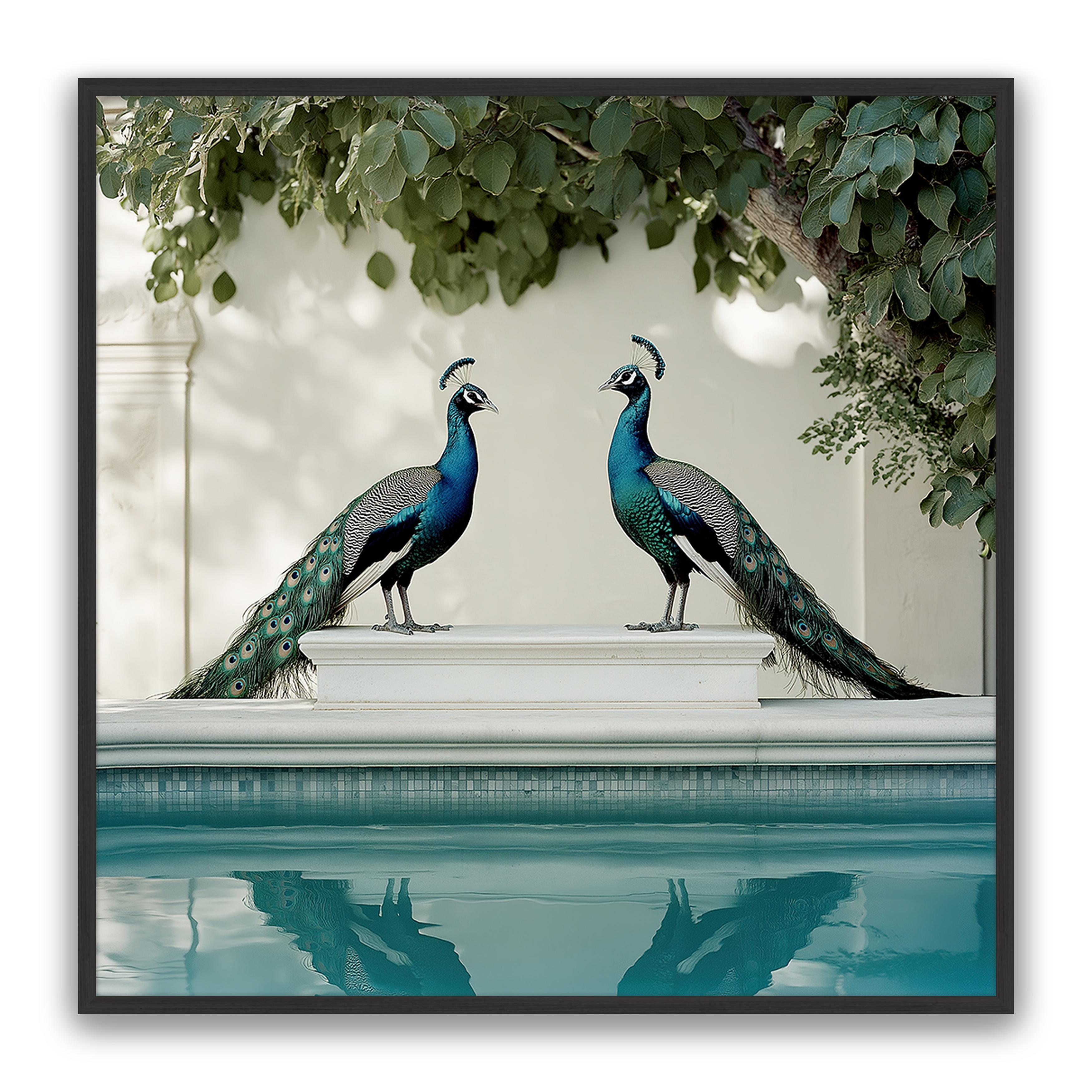 Peacocks Blu