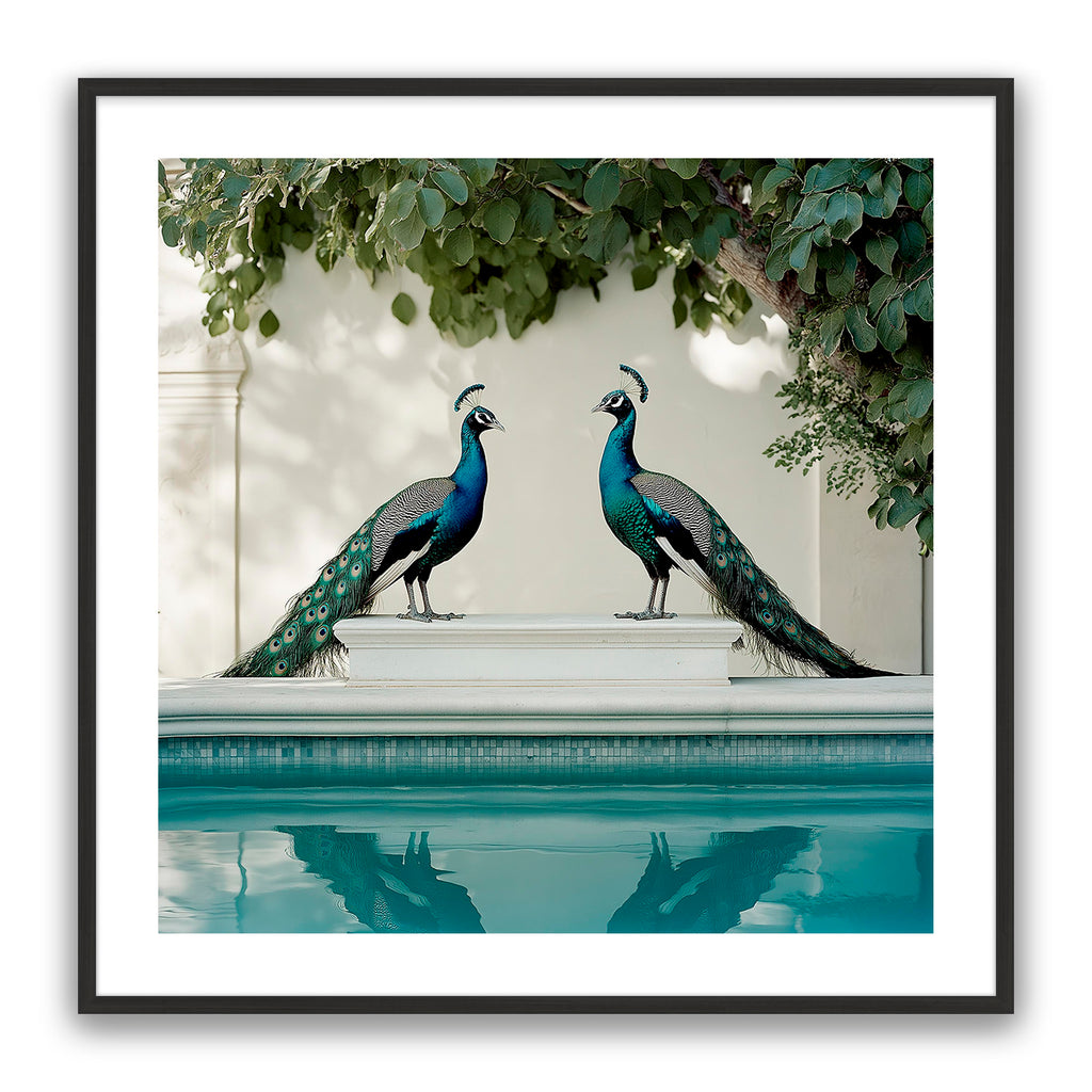 Peacocks Blu