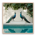 Peacocks Blu