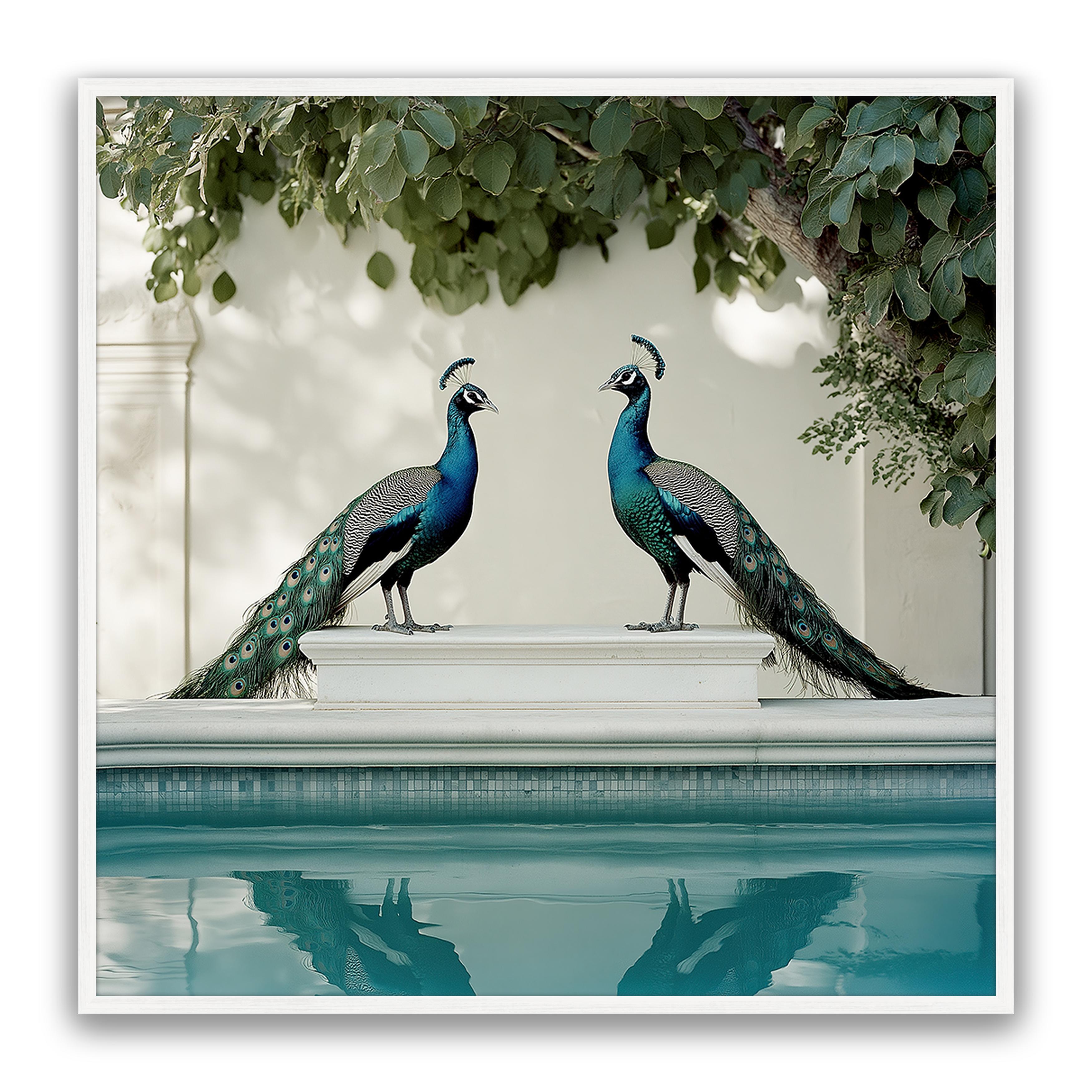 Peacocks Blu