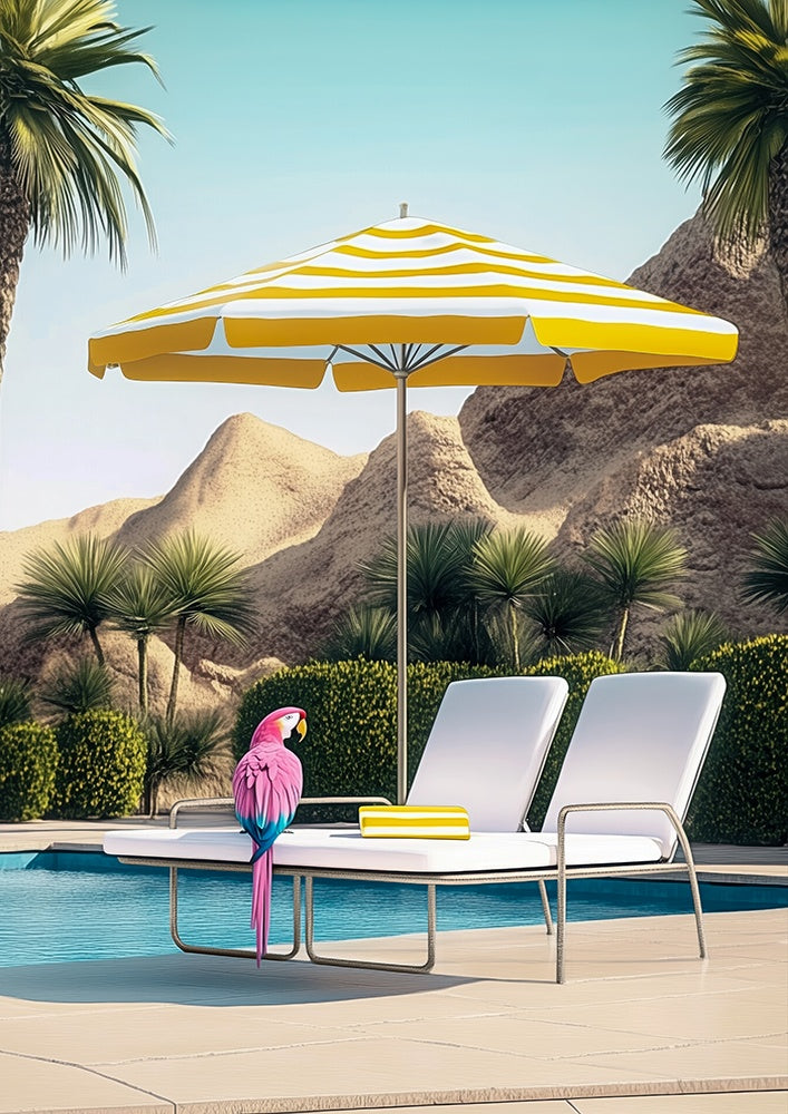 Hilton Palm