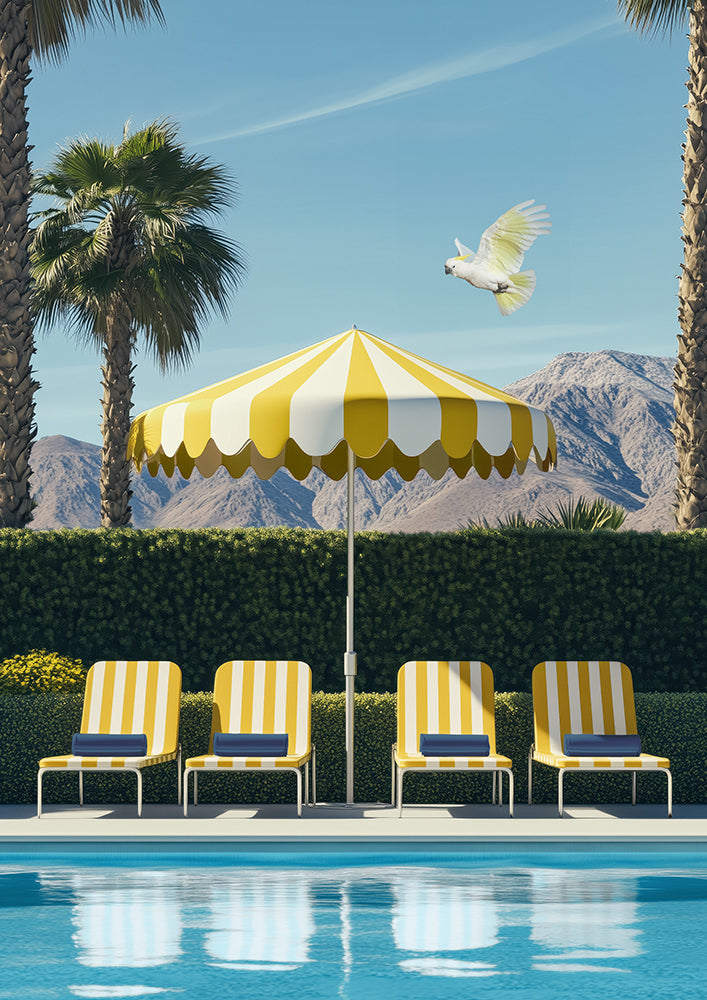 Avalon Club