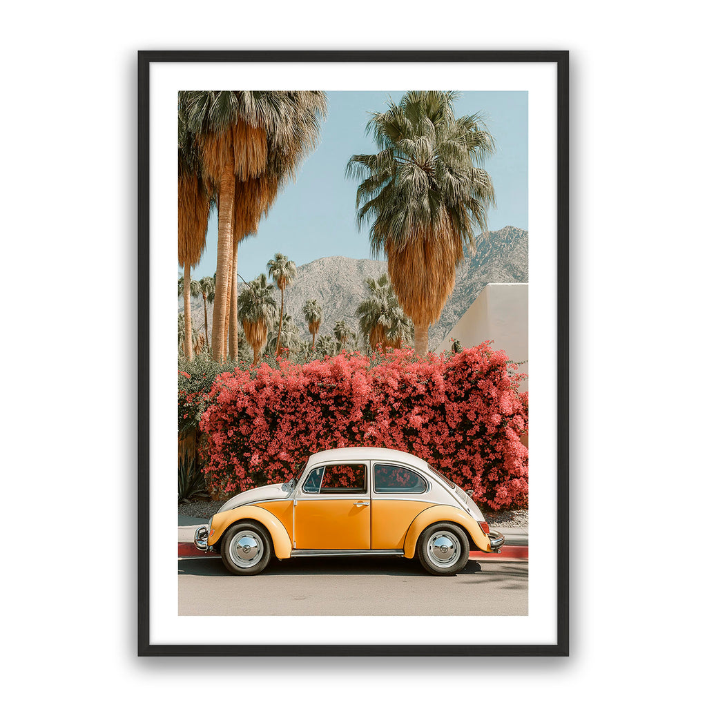 Barney Beetle