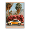 Barney Beetle