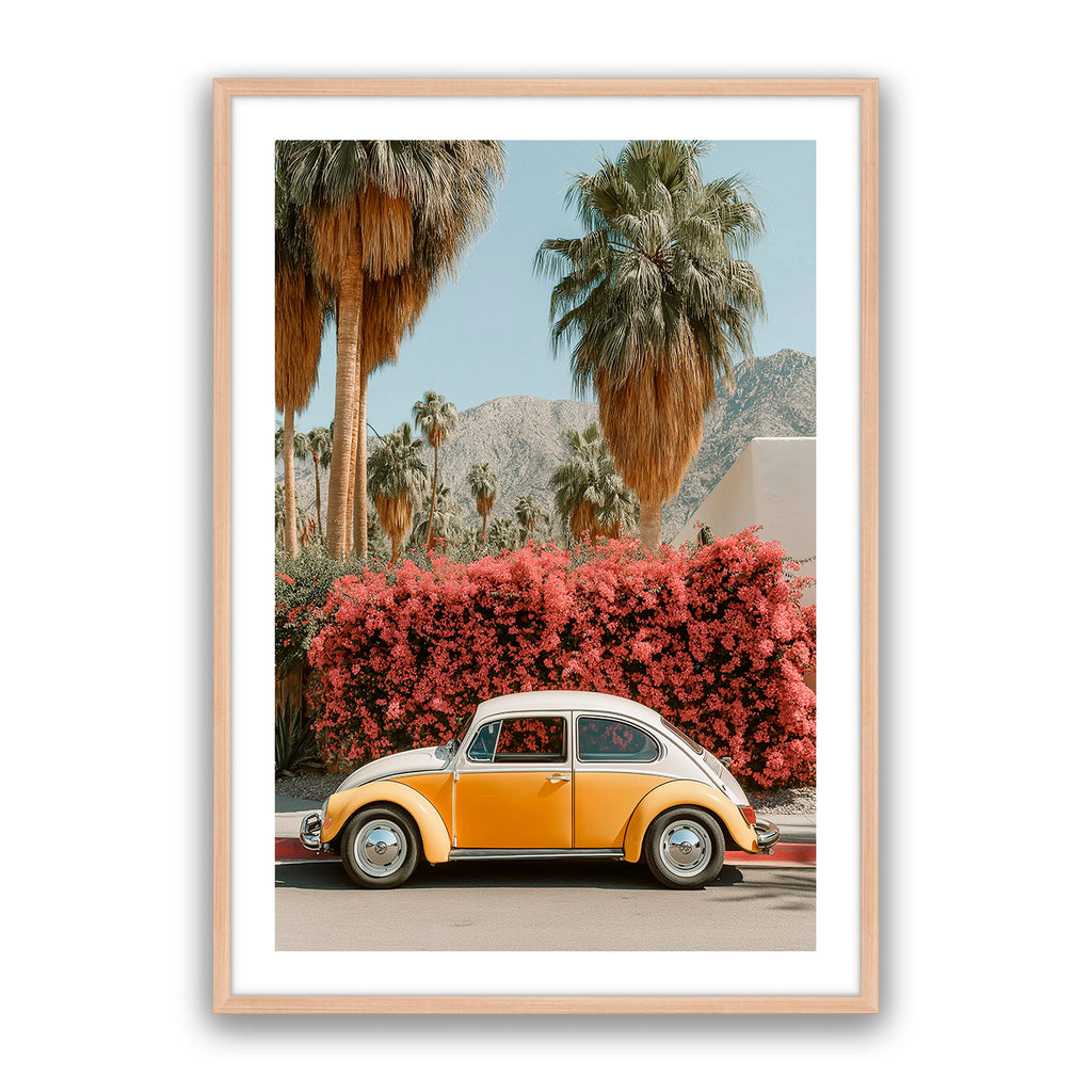 Barney Beetle