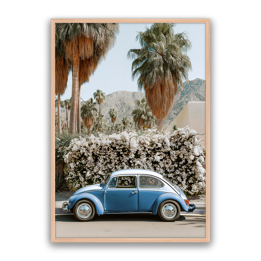 Barney Beetle Blu