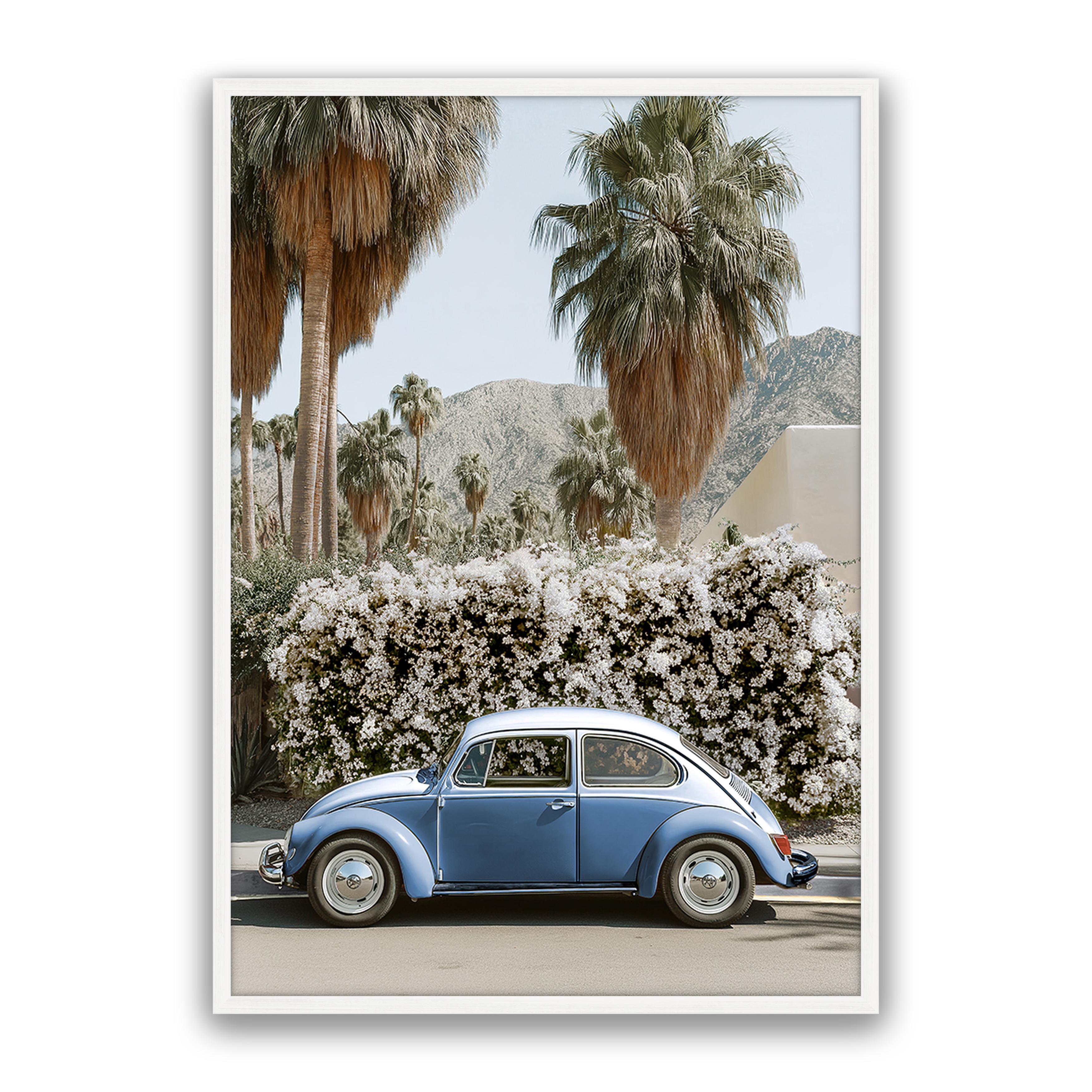 Barney Beetle Blu