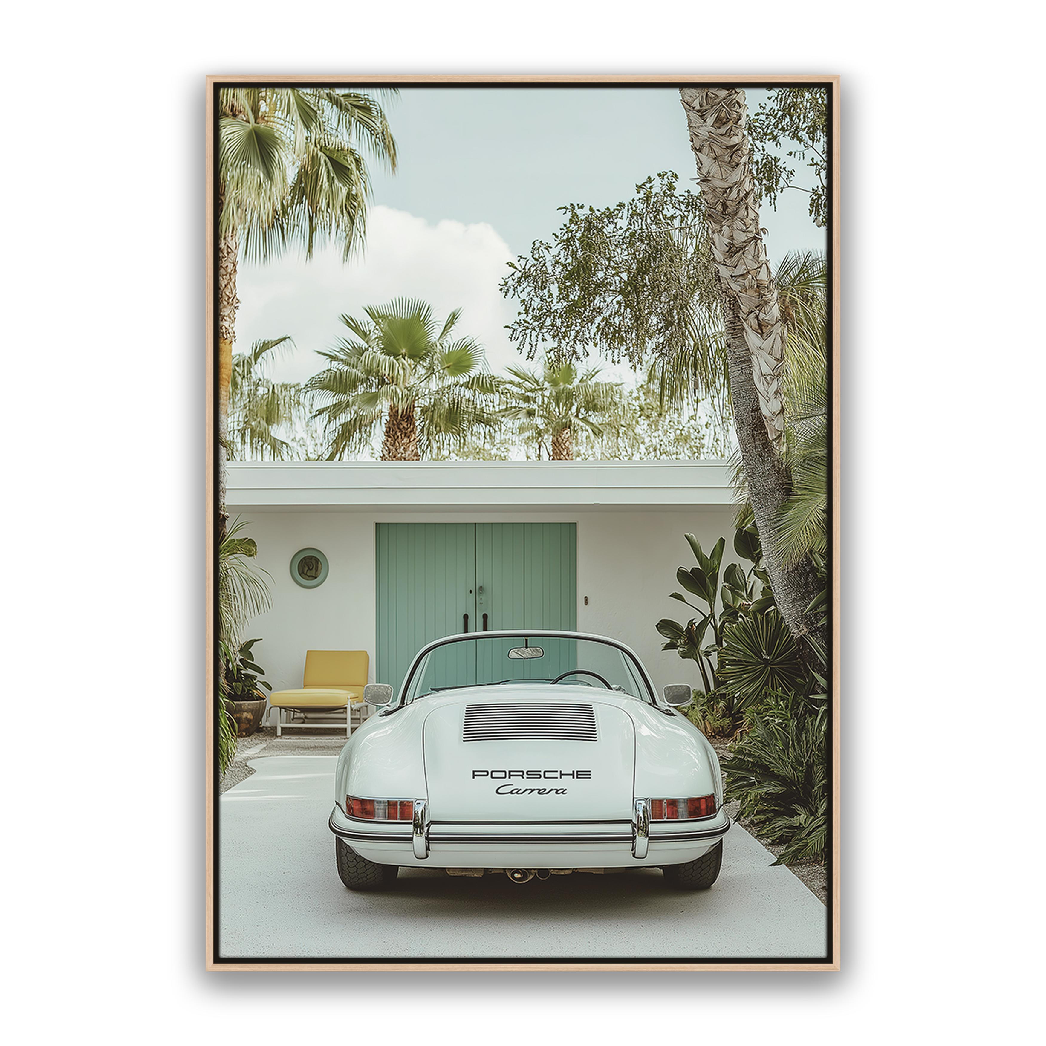 Carrera Palm