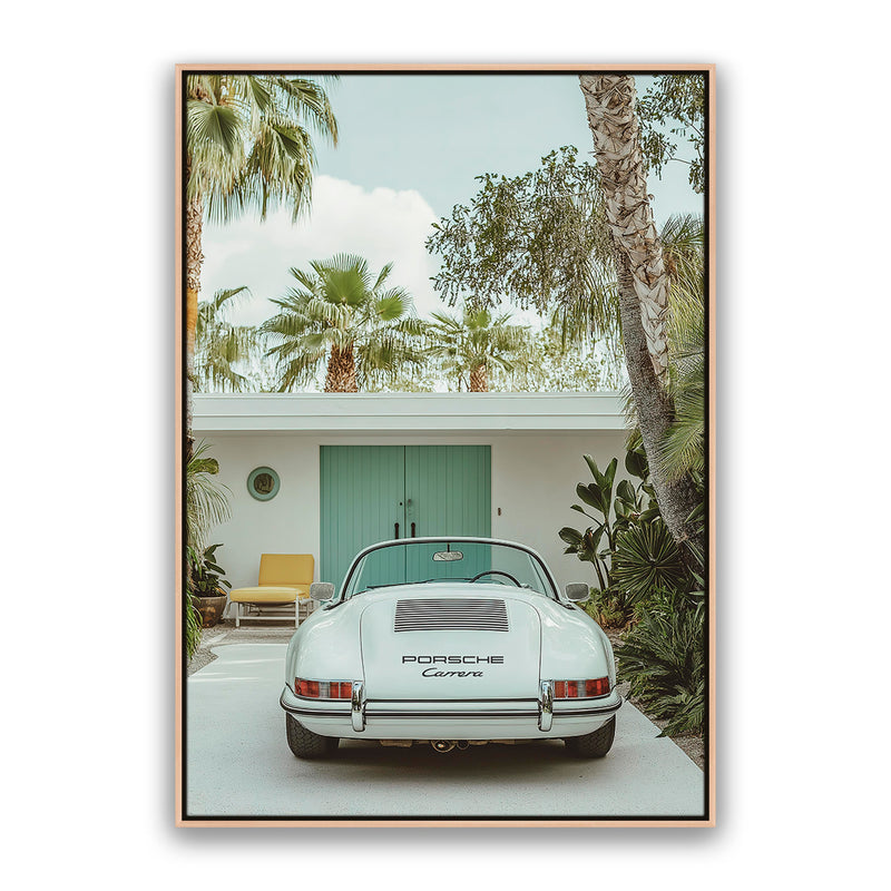 Carrera Palm