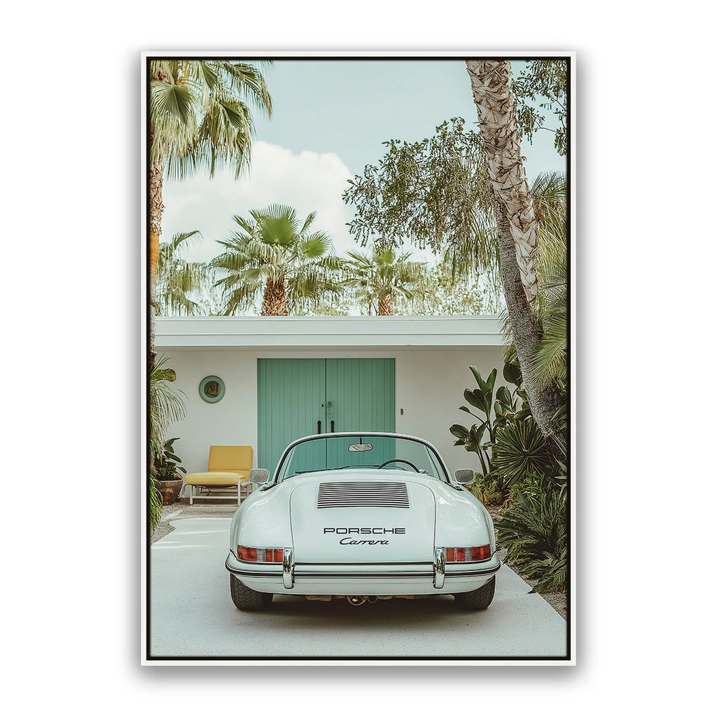 Carrera Palm