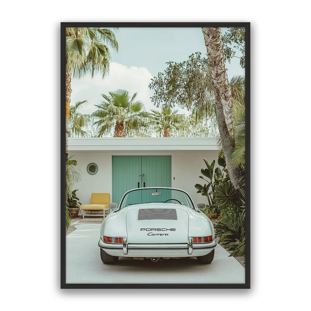 Carrera Palm