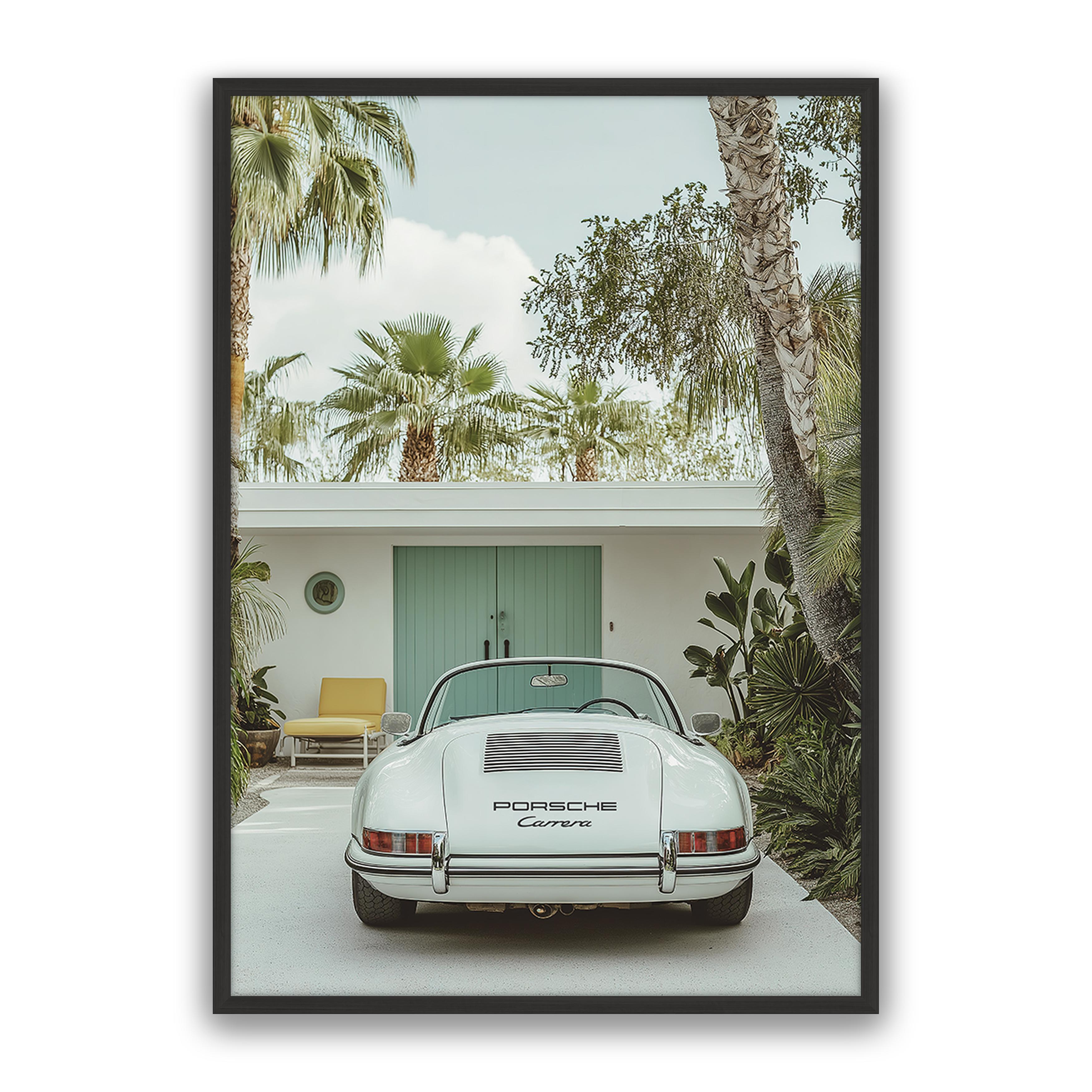 Carrera Palm