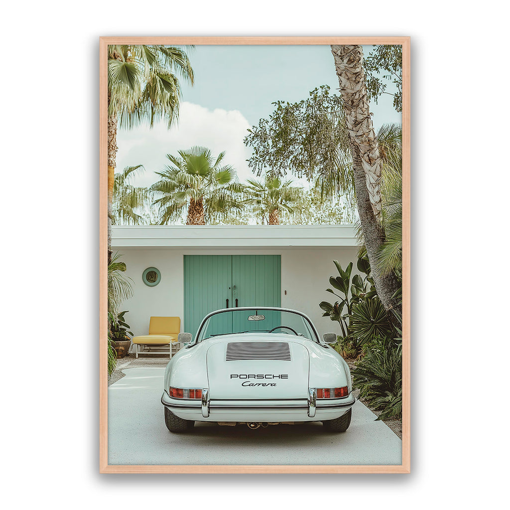Carrera Palm