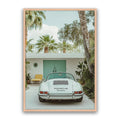 Carrera Palm