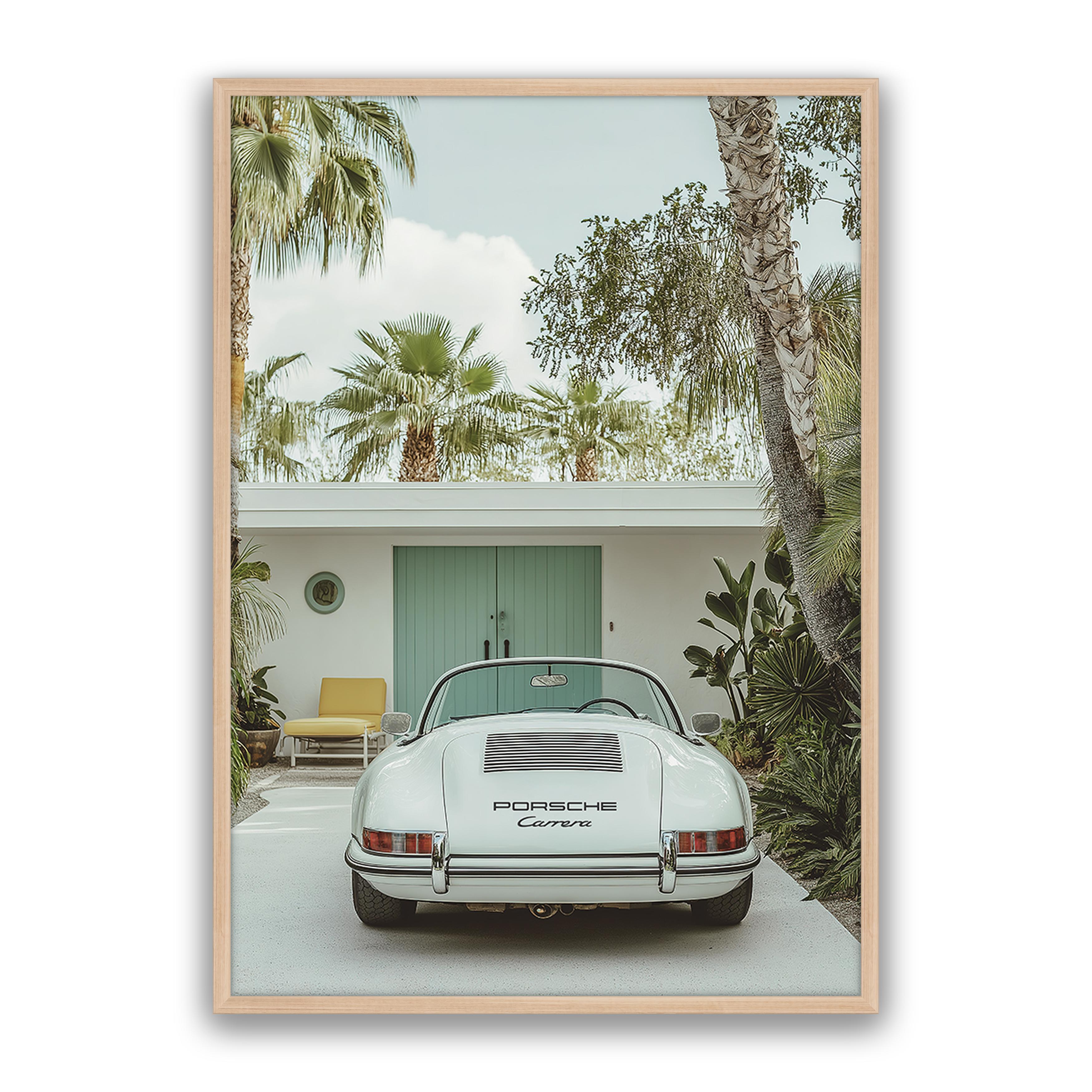 Carrera Palm