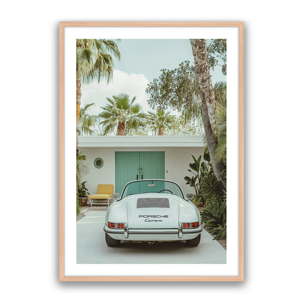 Carrera Palm