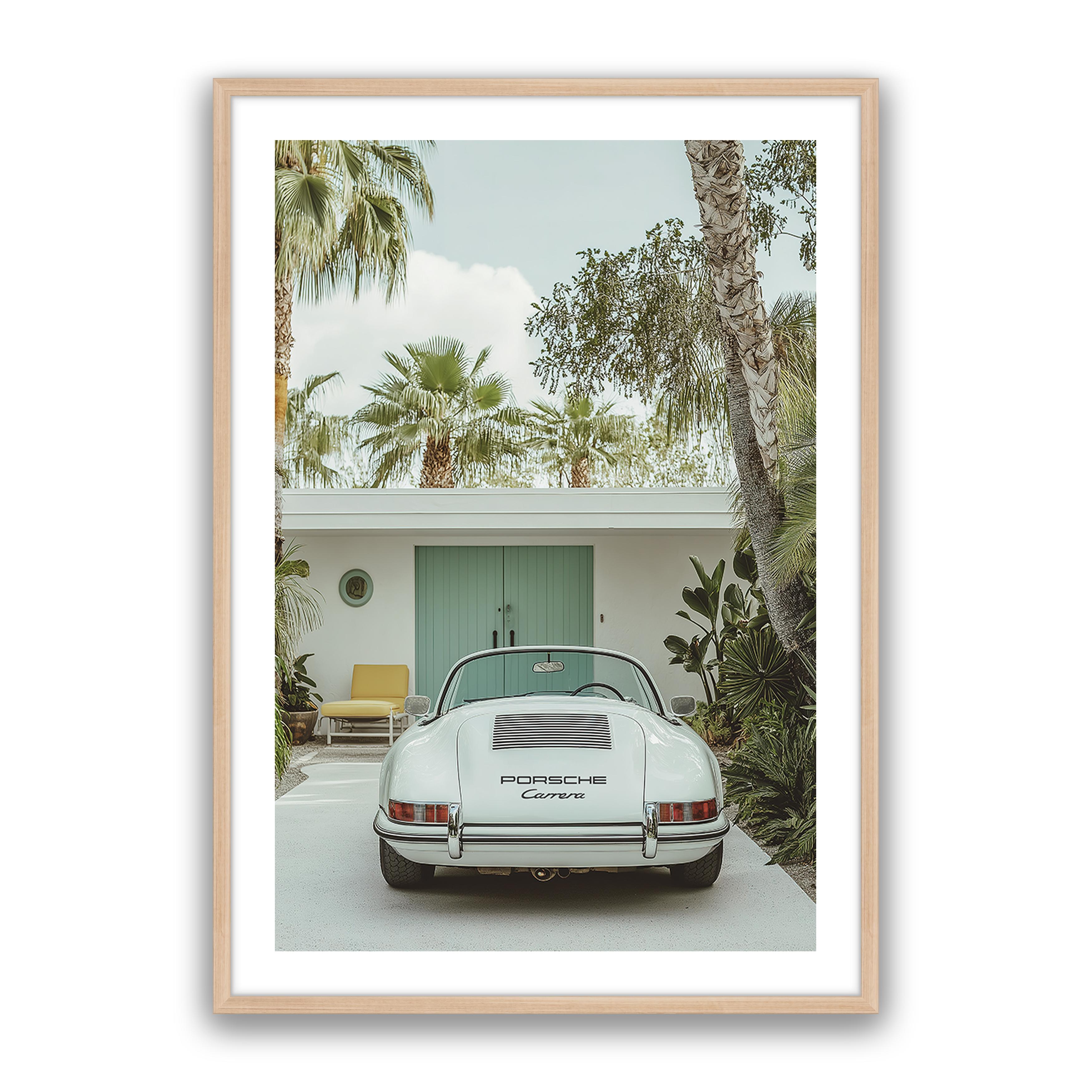 Carrera Palm