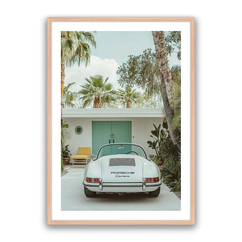 Carrera Palm