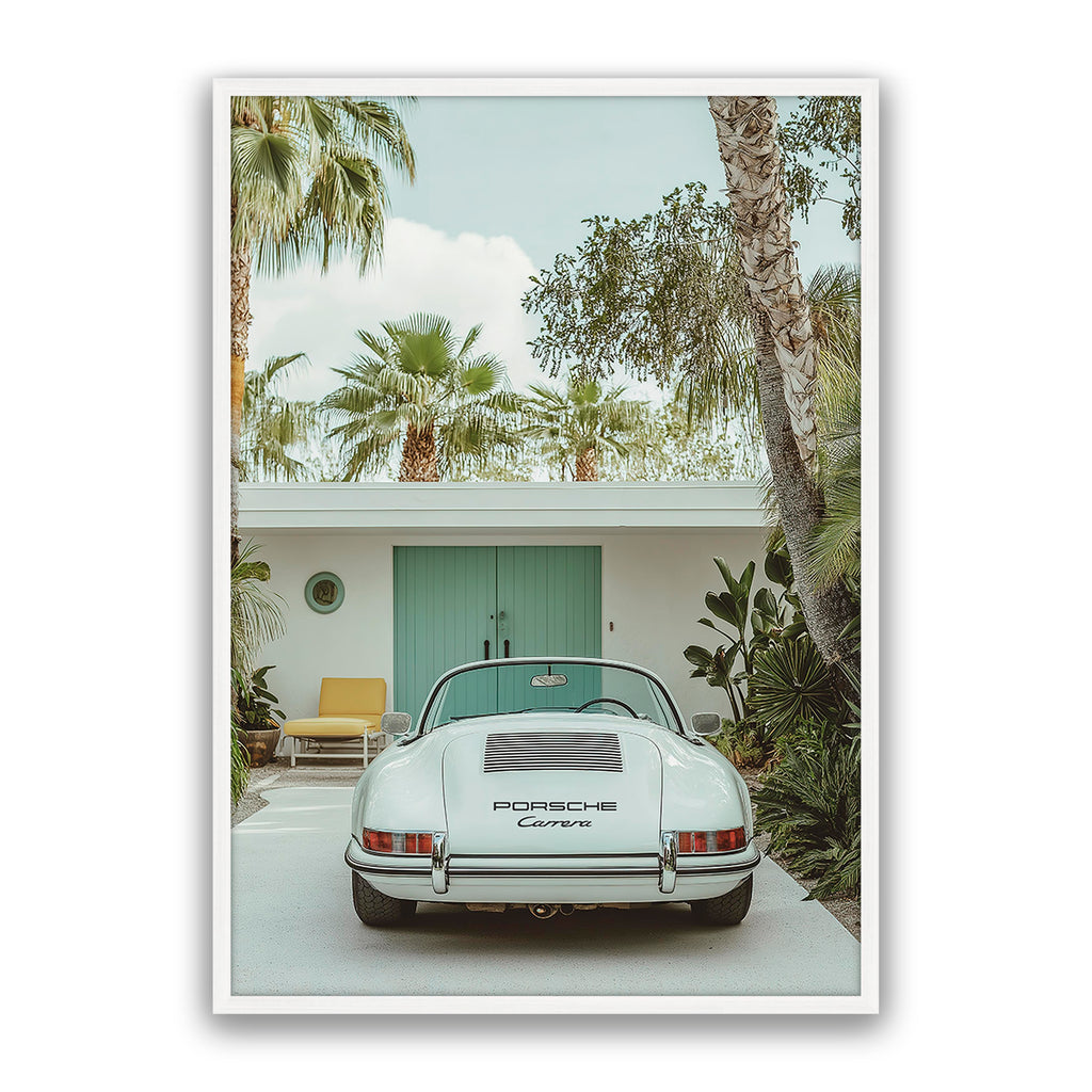 Carrera Palm