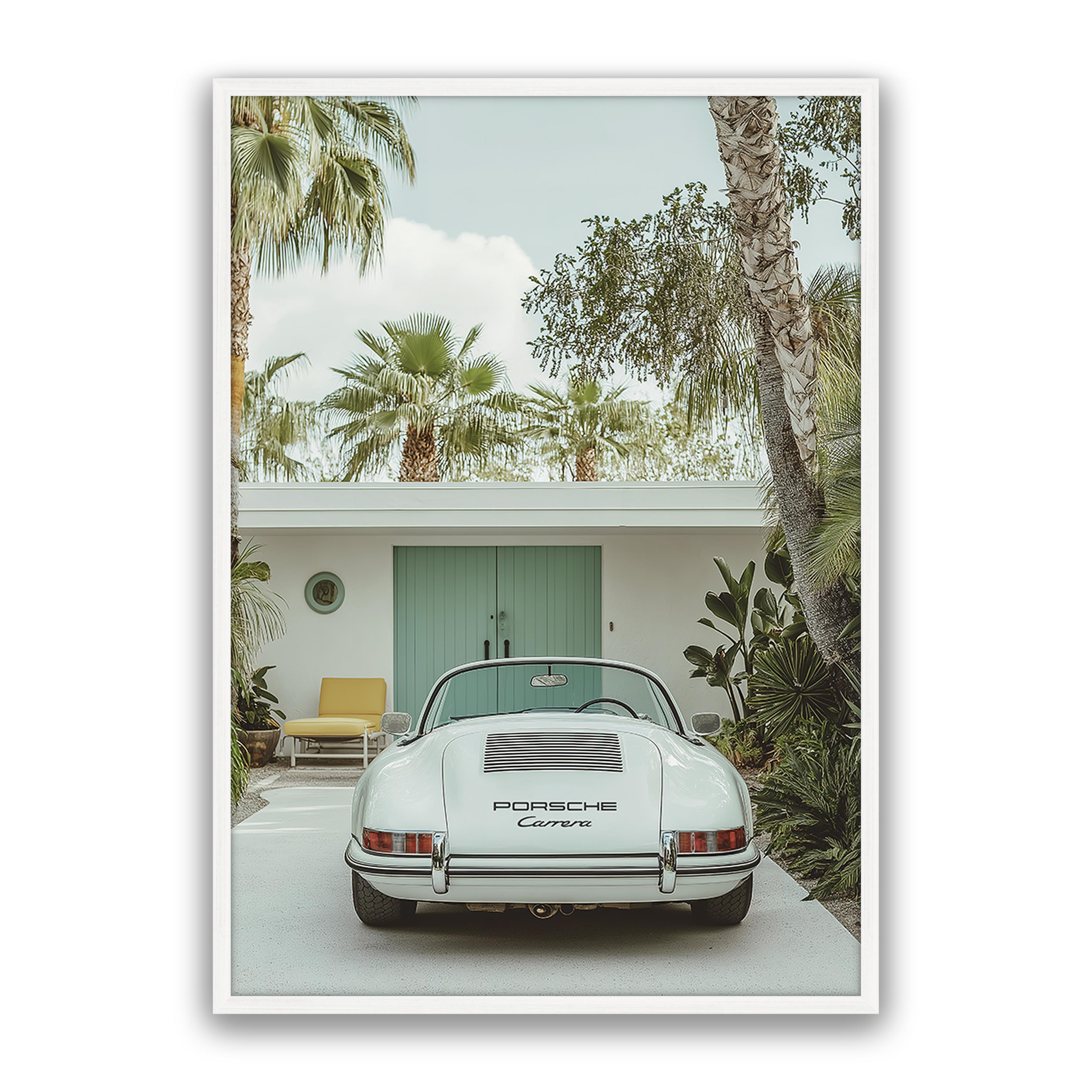 Carrera Palm