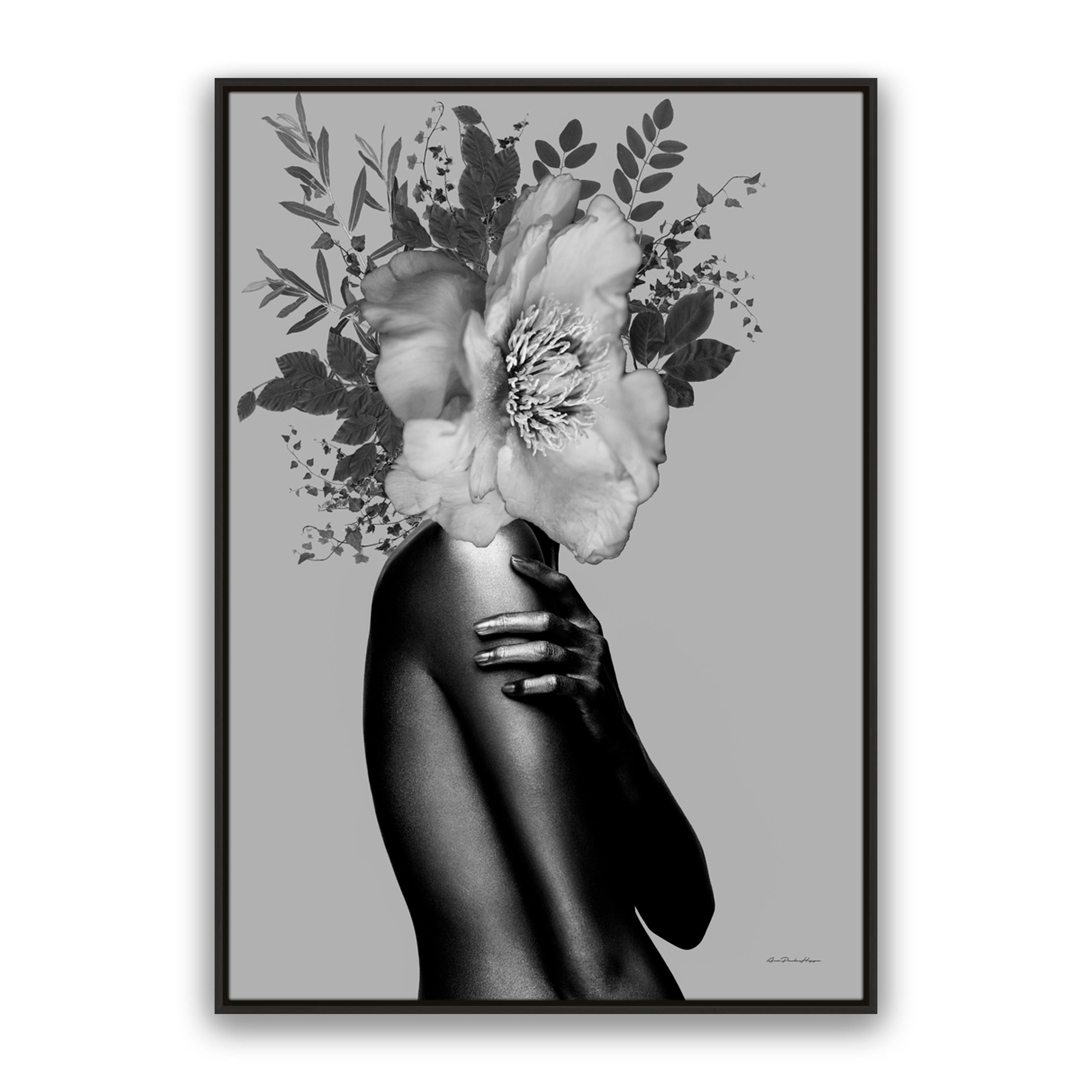 Lady Grey