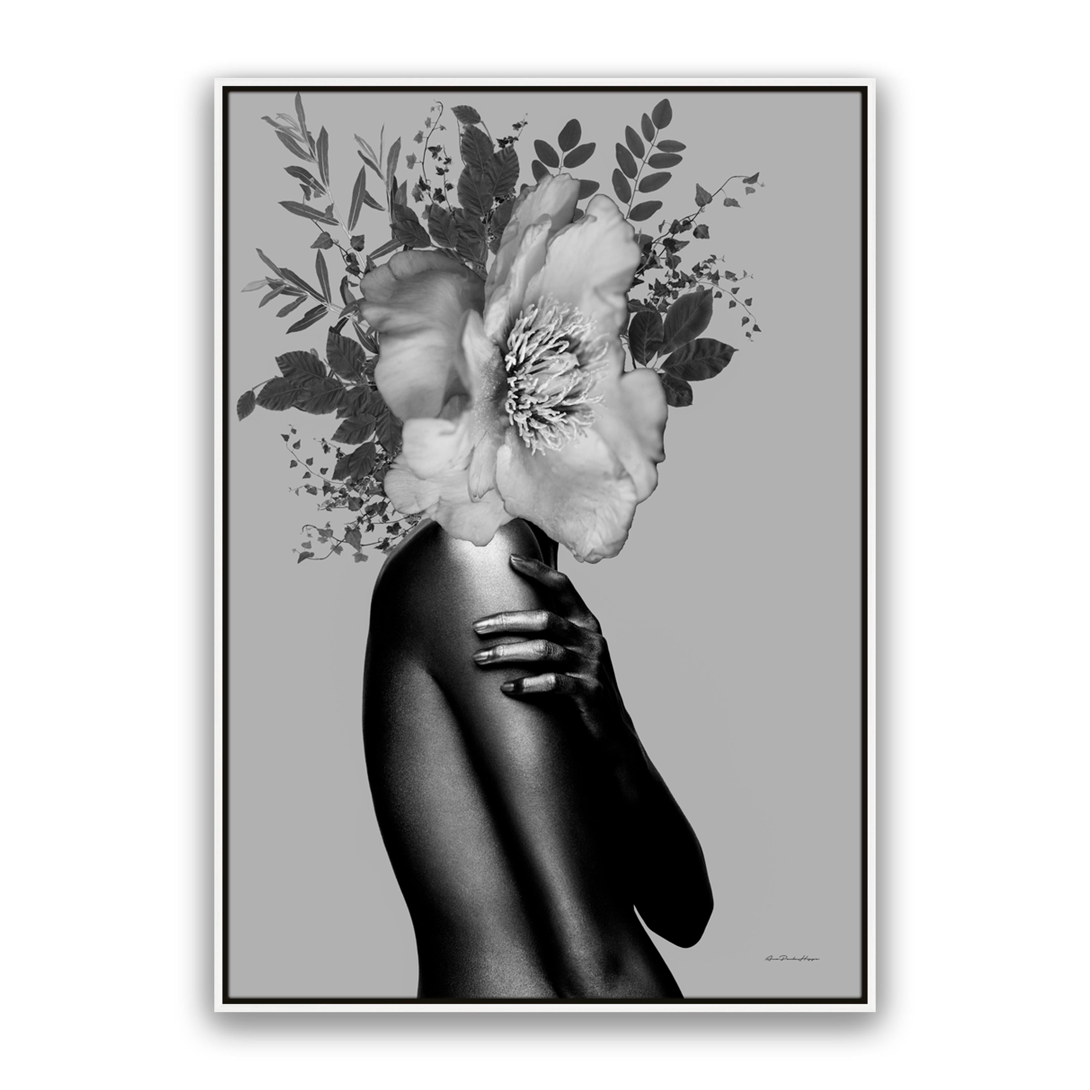 Lady Grey
