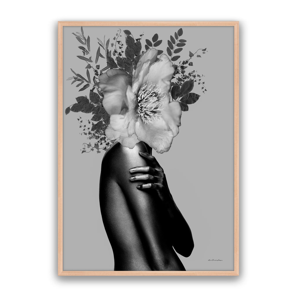 Lady Grey