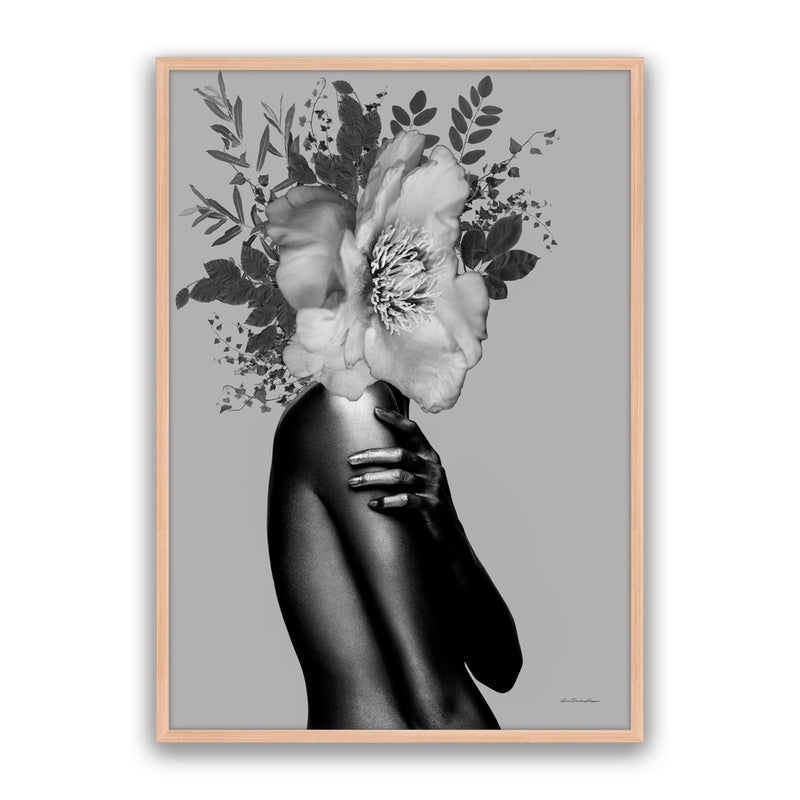 Lady Grey