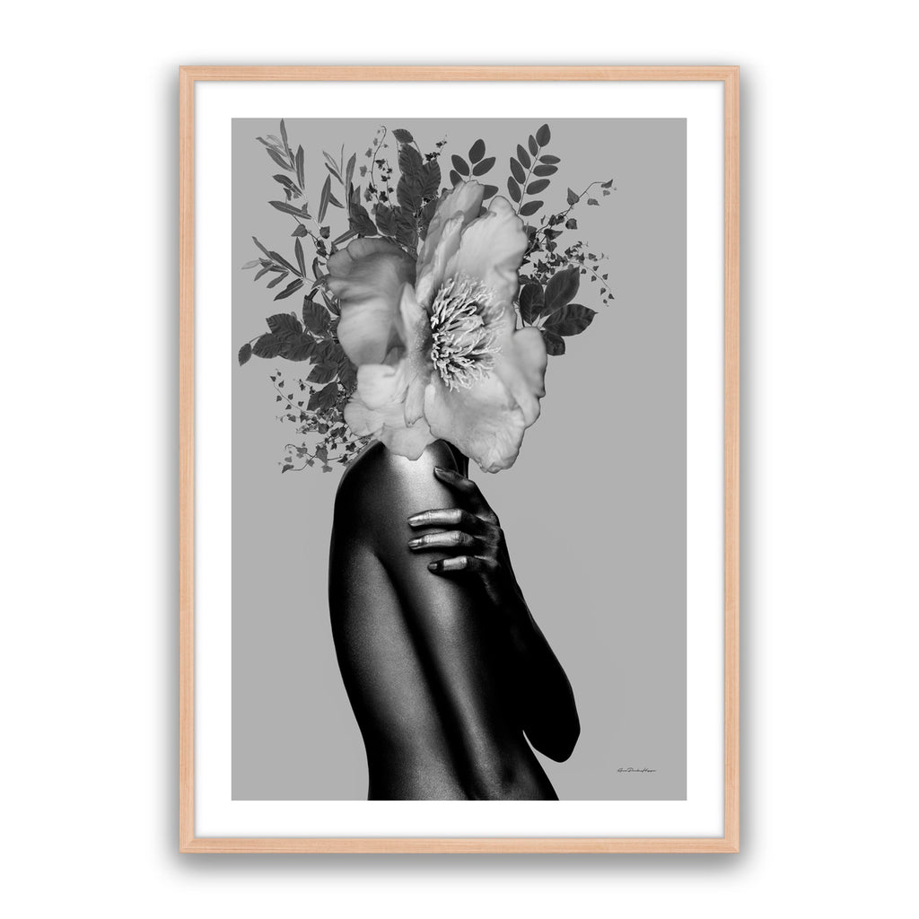 Lady Grey