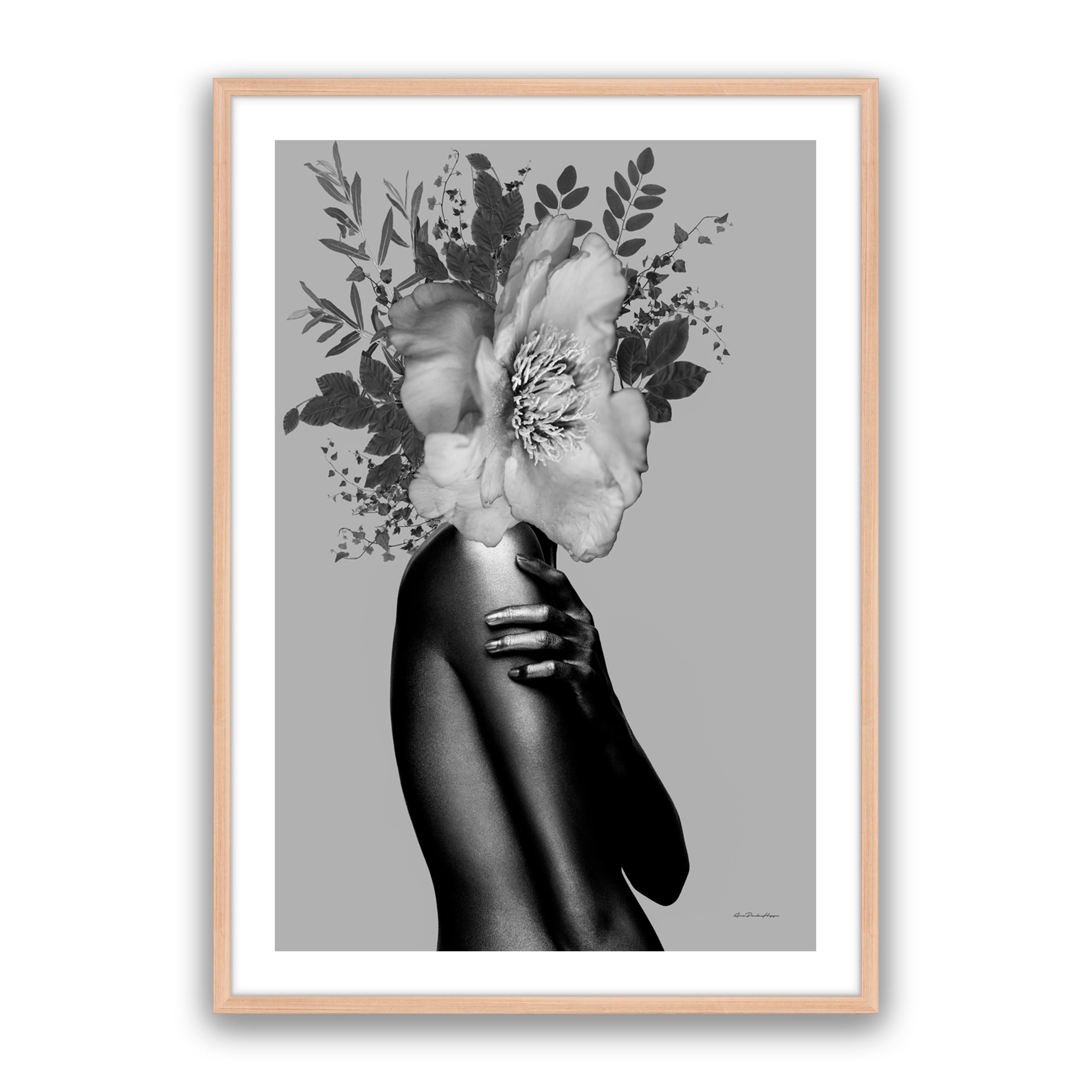 Lady Grey