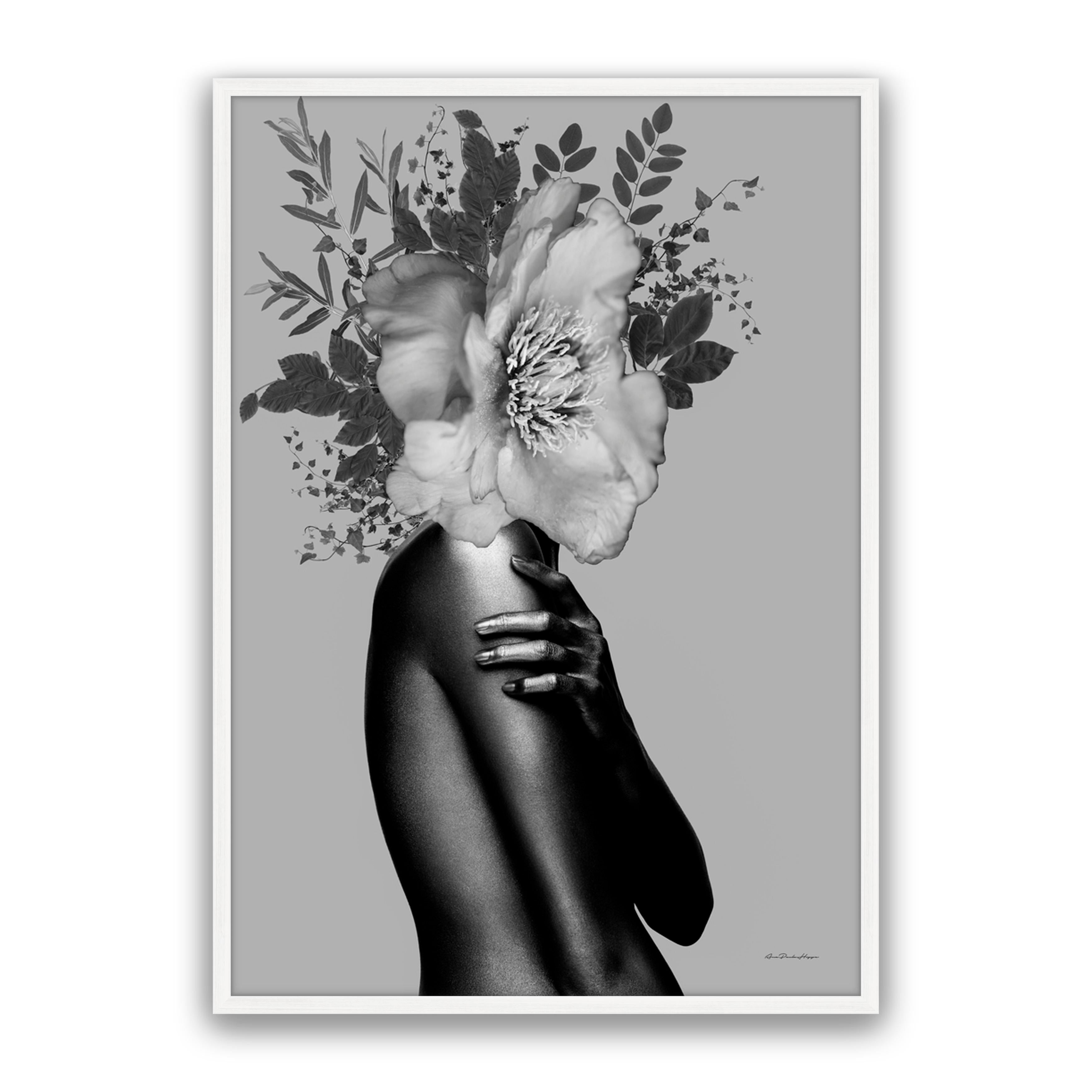Lady Grey