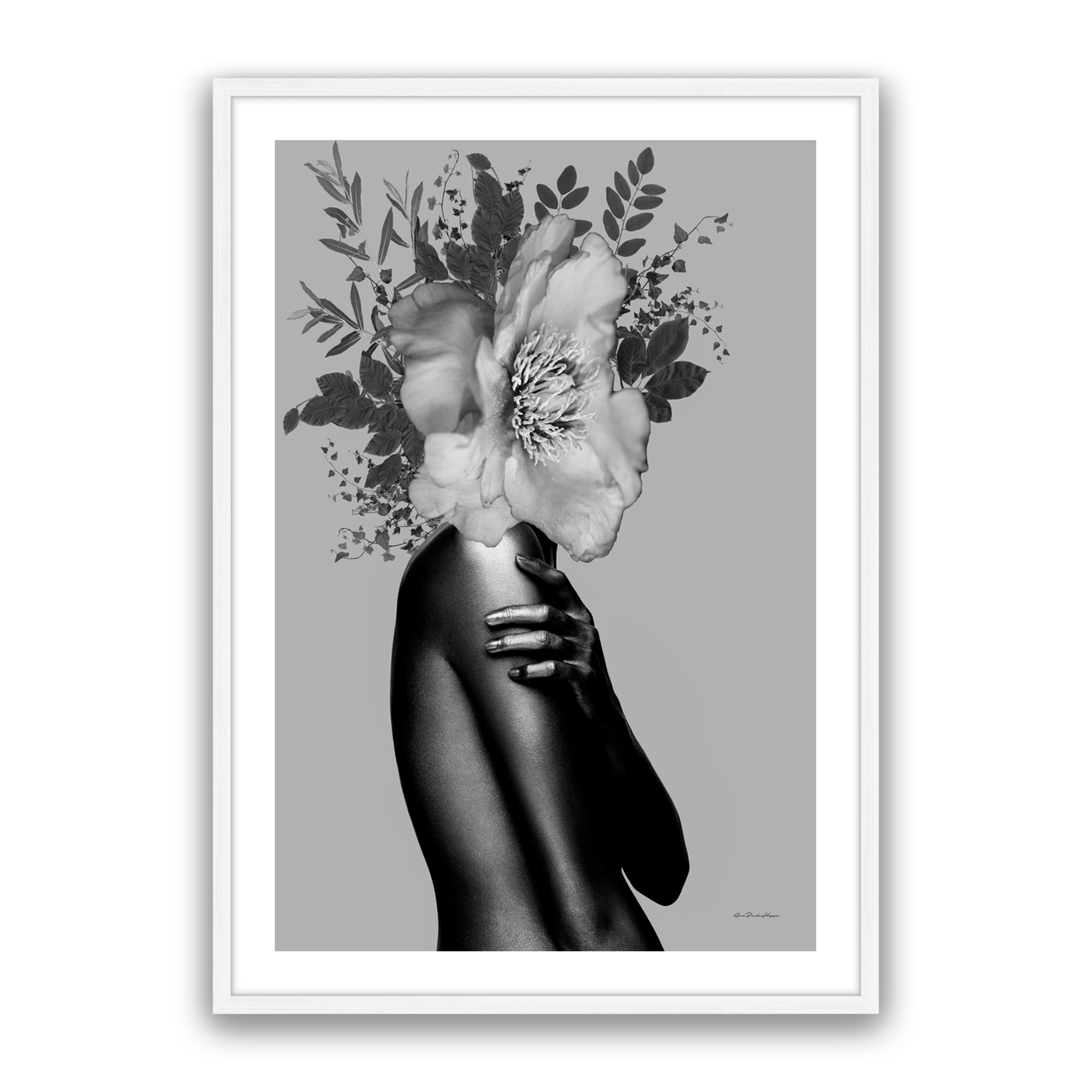 Lady Grey
