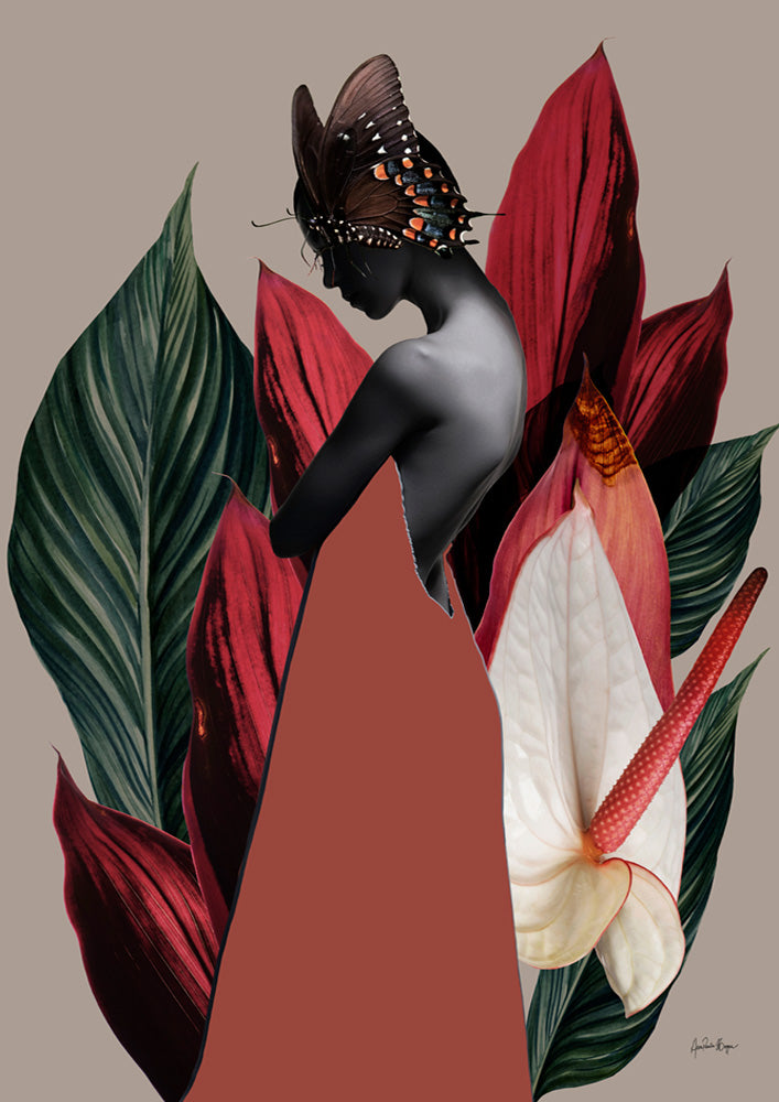 Dracena 1