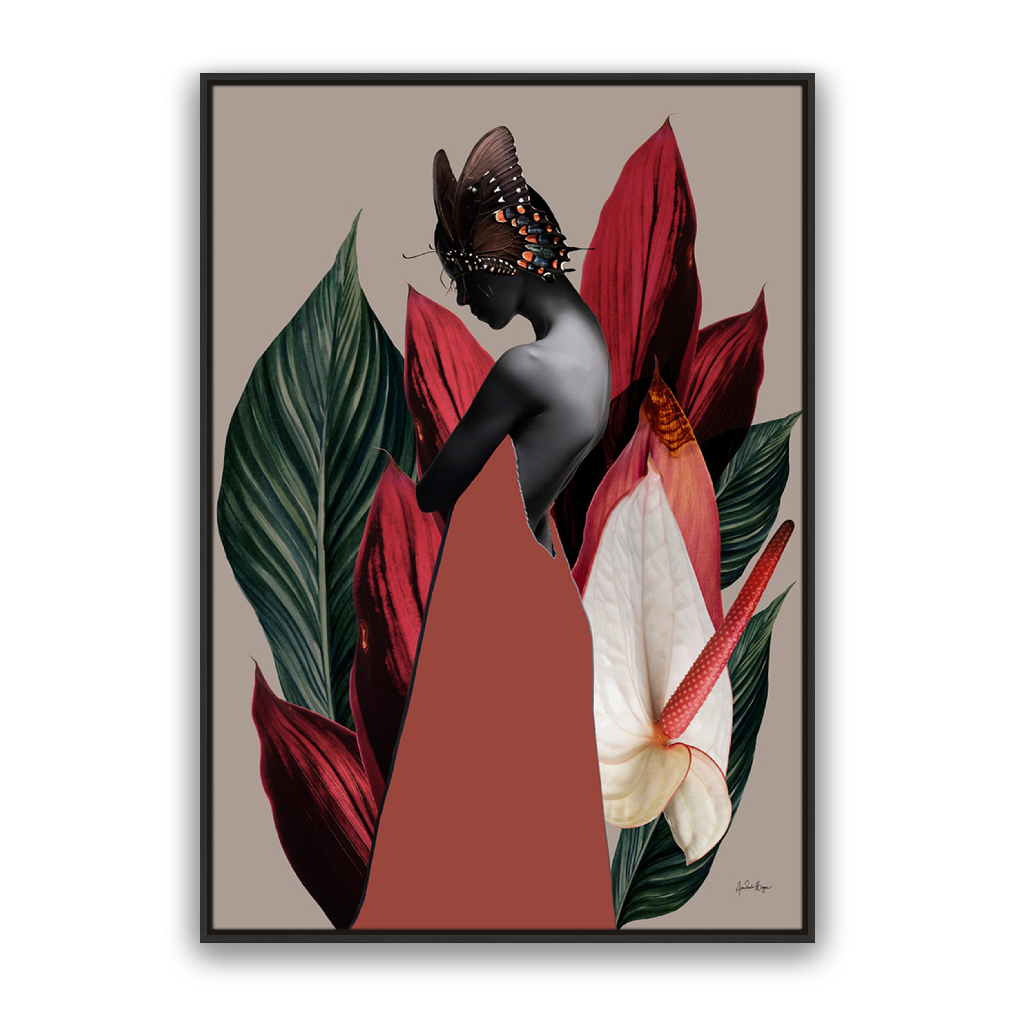 Dracena 1