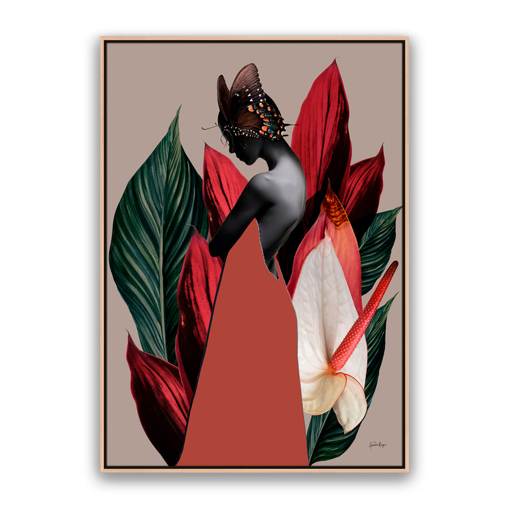 Dracena 1