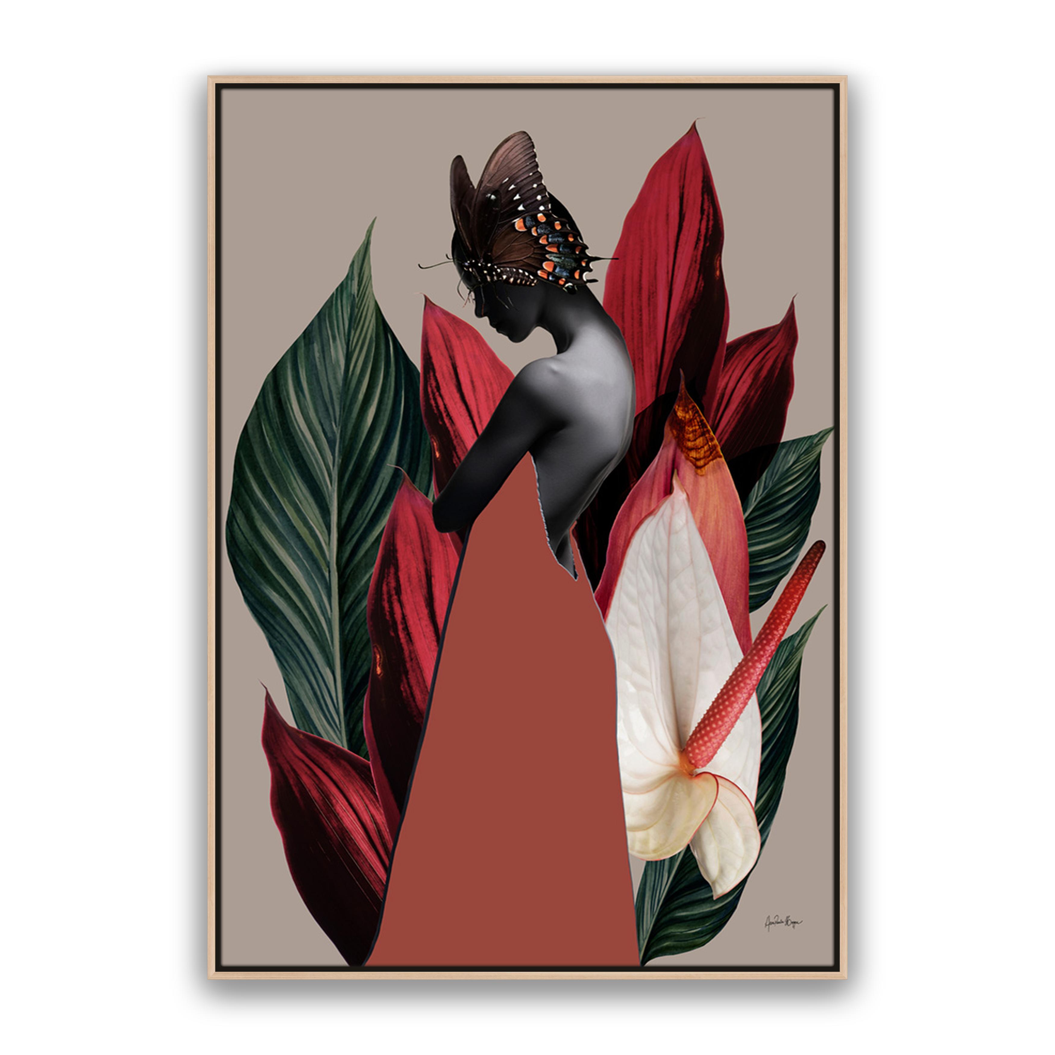 Dracena 1
