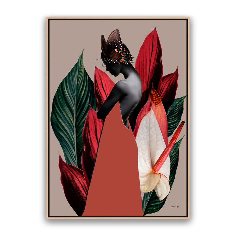Dracena 1