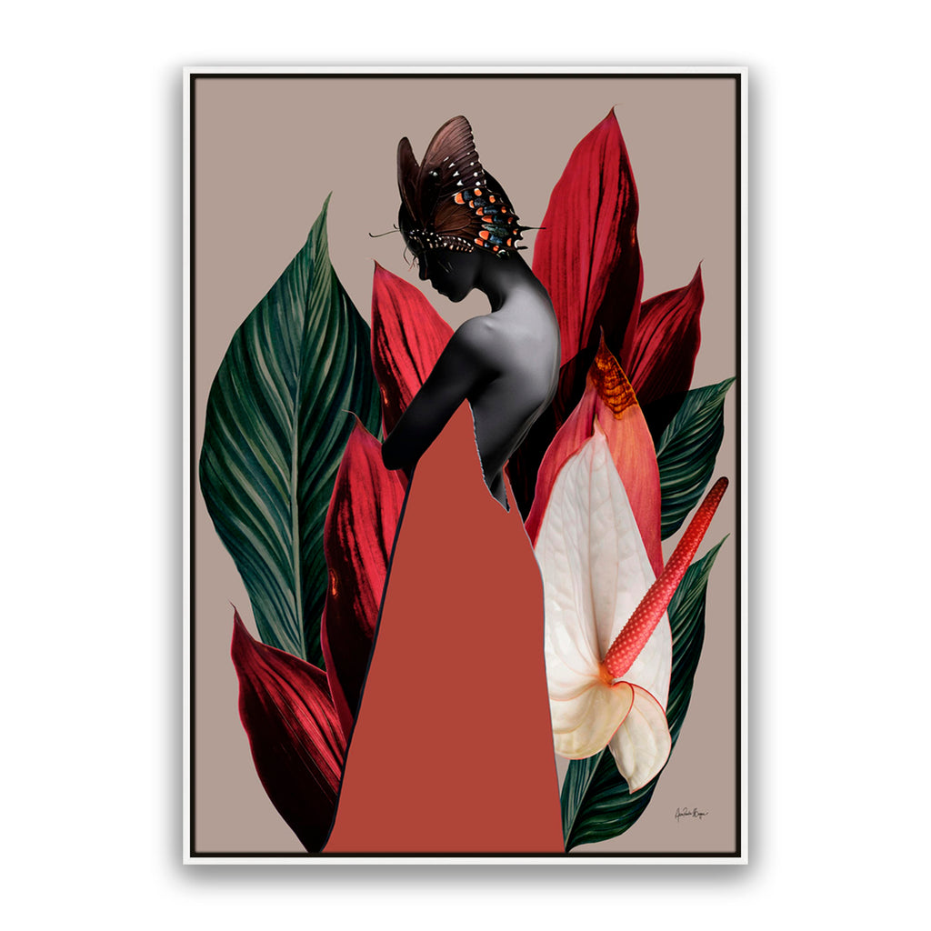 Dracena 1
