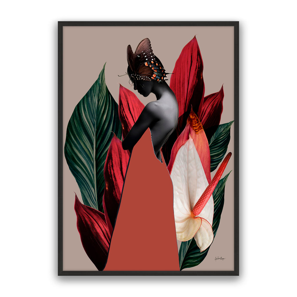 Dracena 1