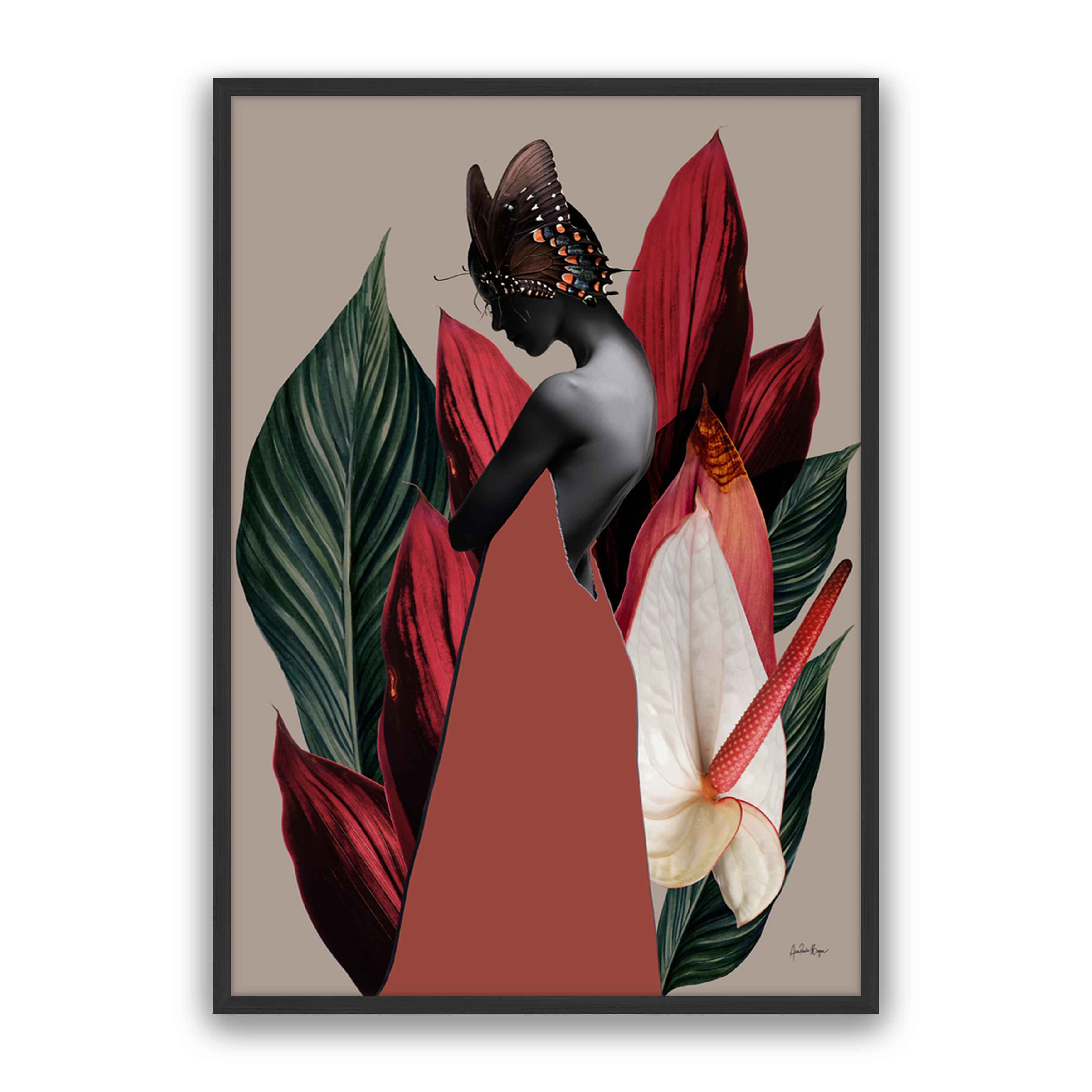 Dracena 1