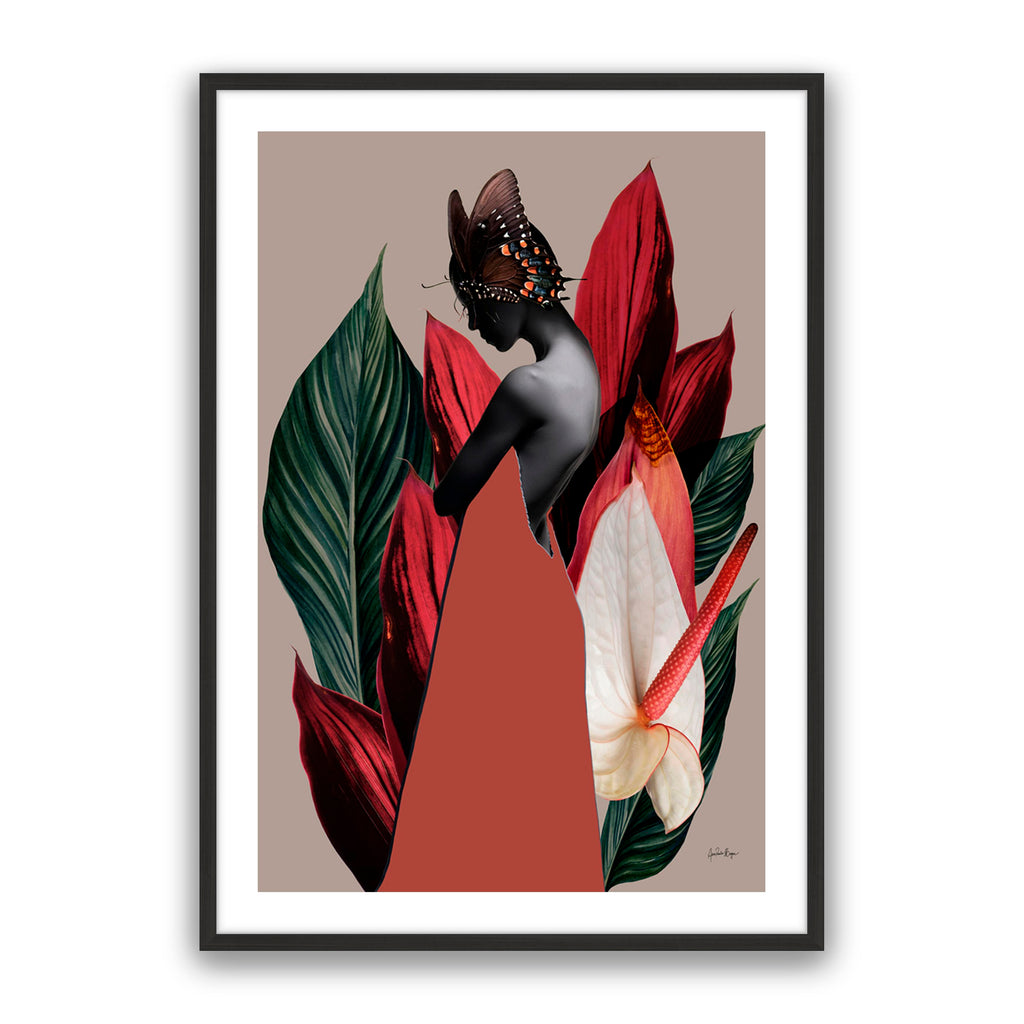 Dracena 1