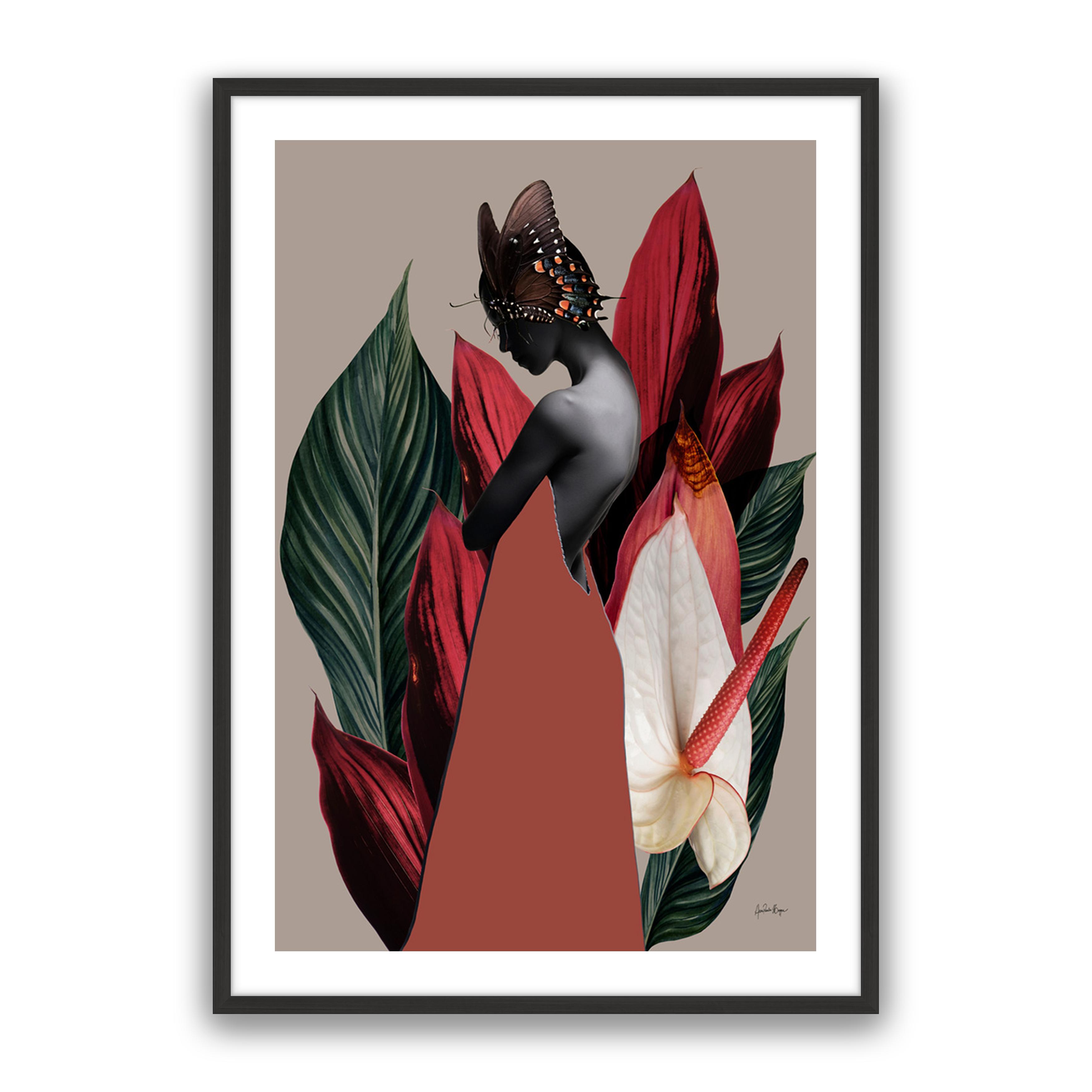 Dracena 1
