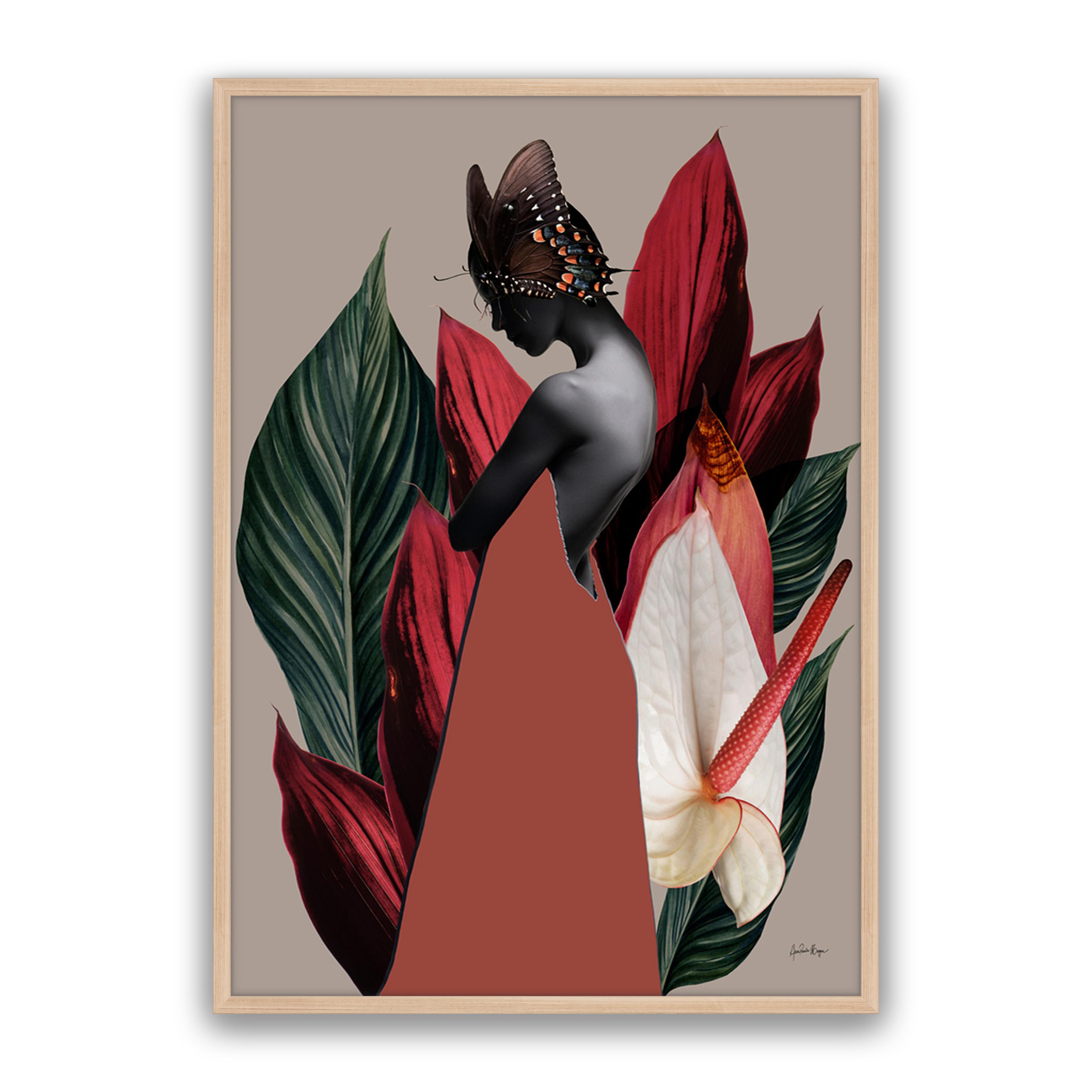 Dracena 1