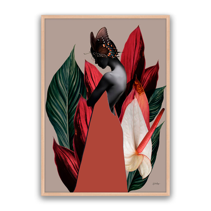 Dracena 1
