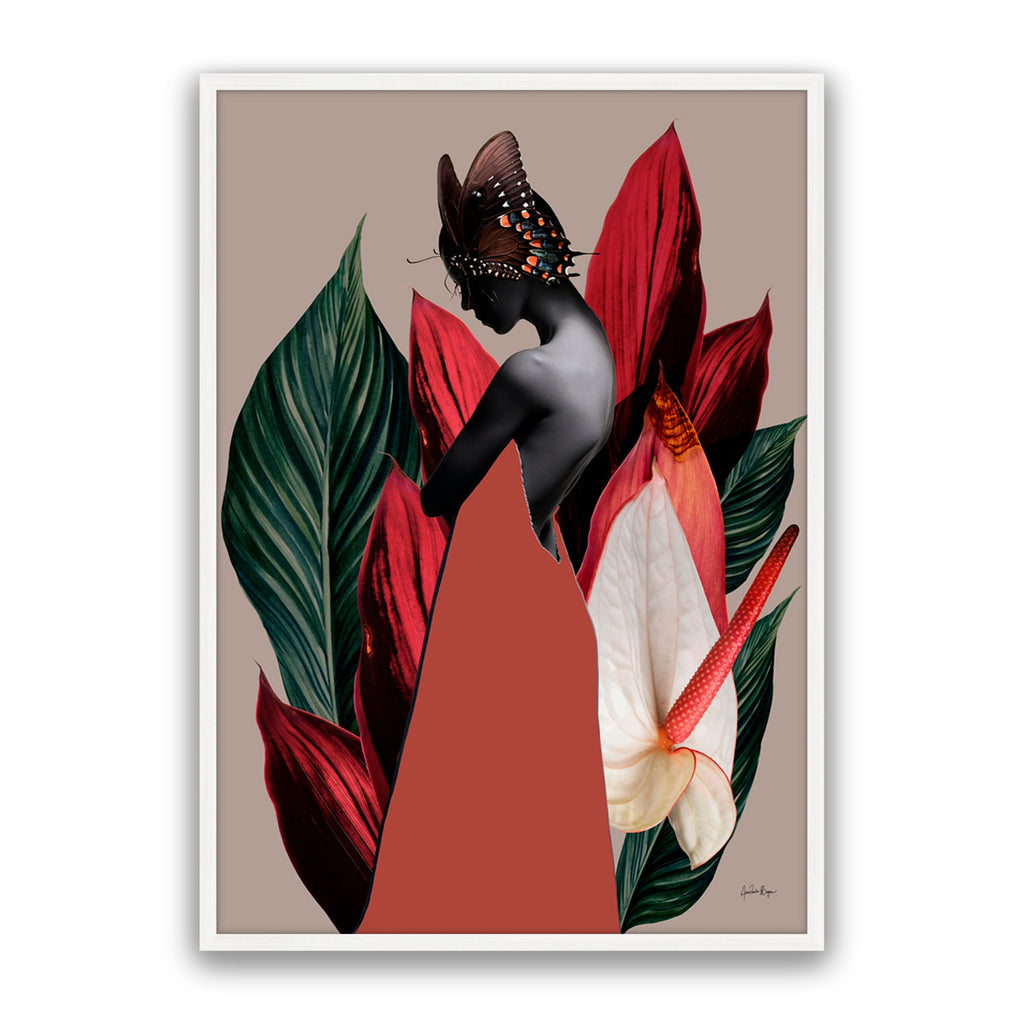 Dracena 1