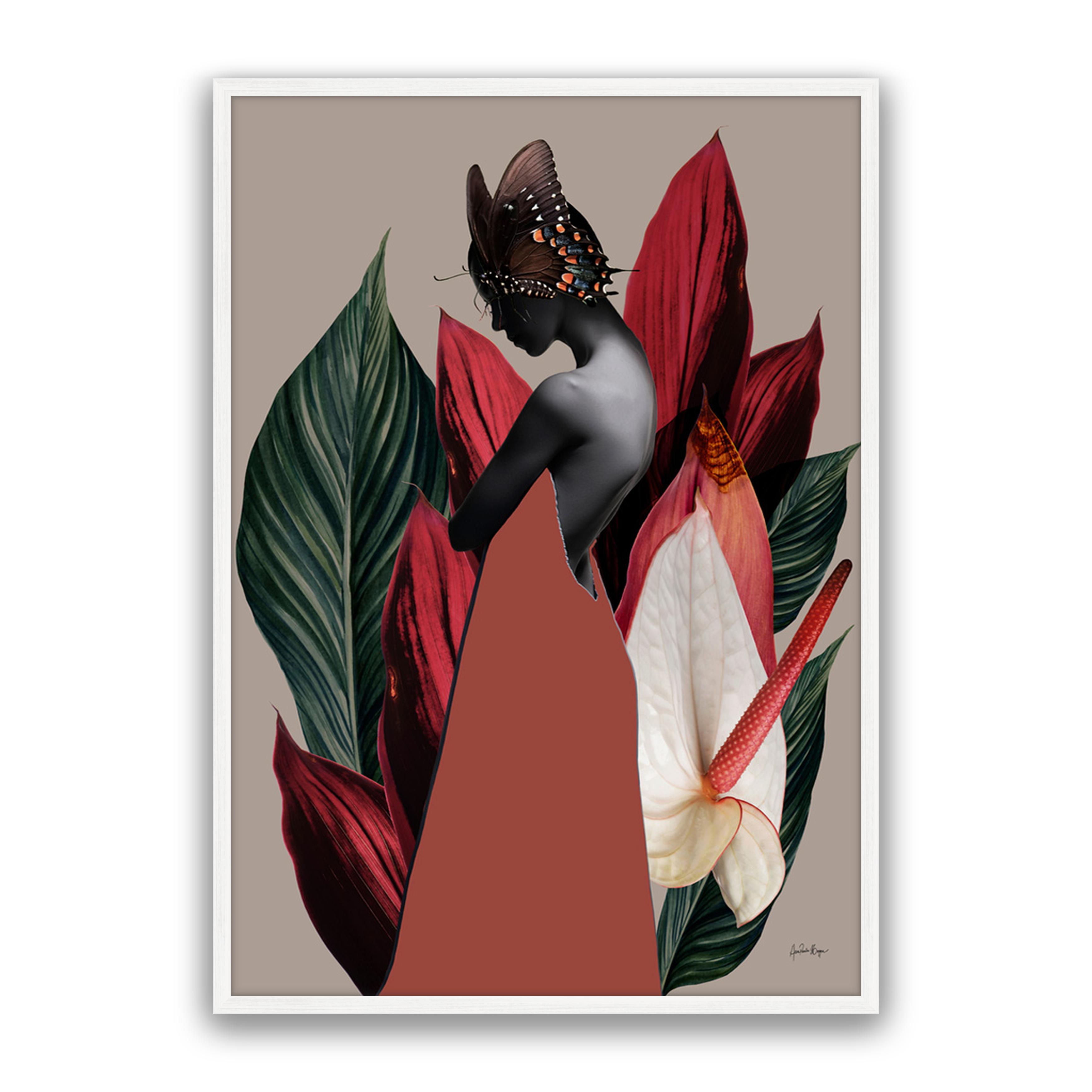Dracena 1