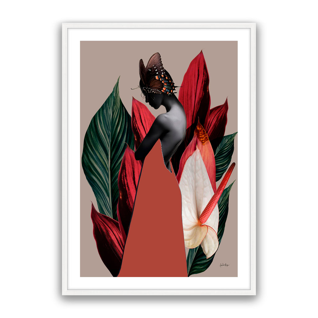 Dracena 1