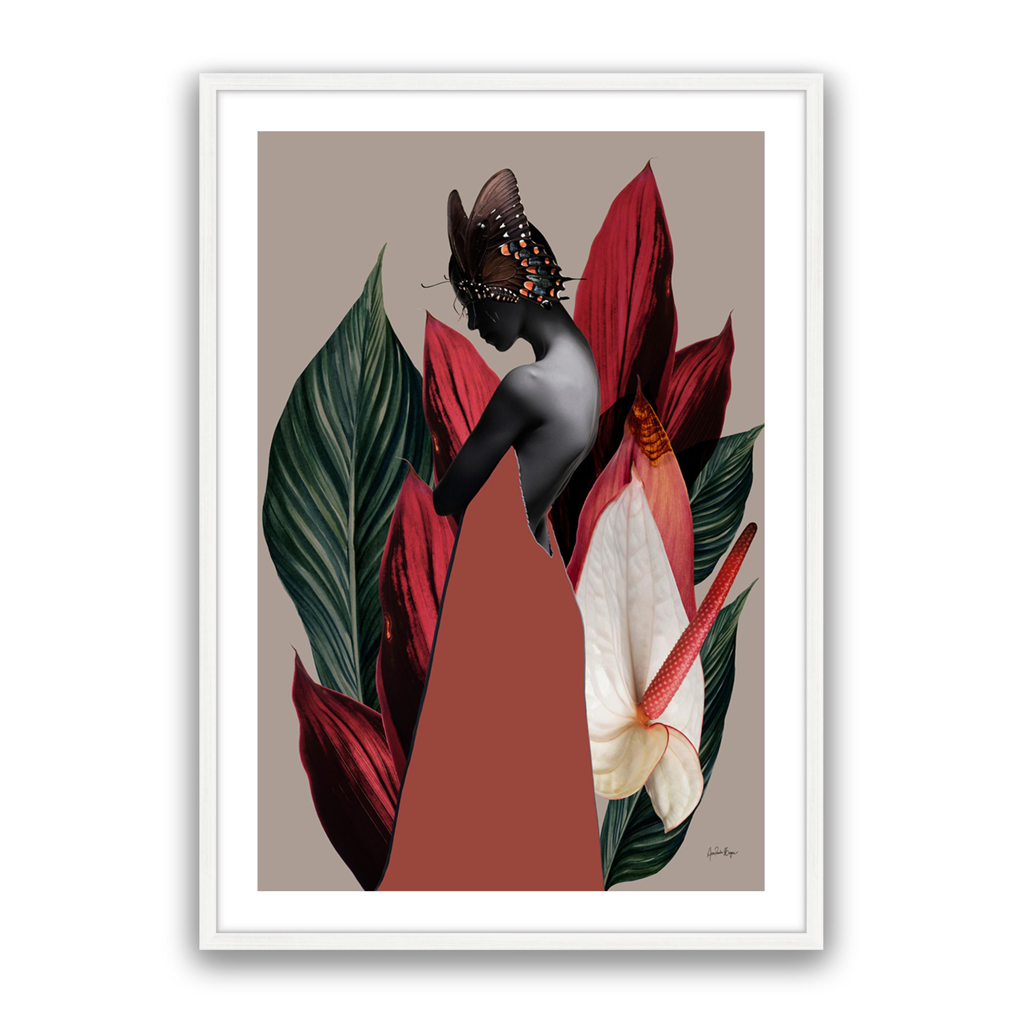 Dracena 1