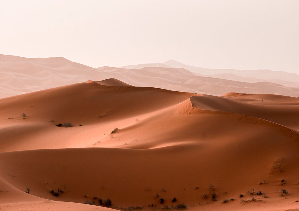 Morocco Sahara 2
