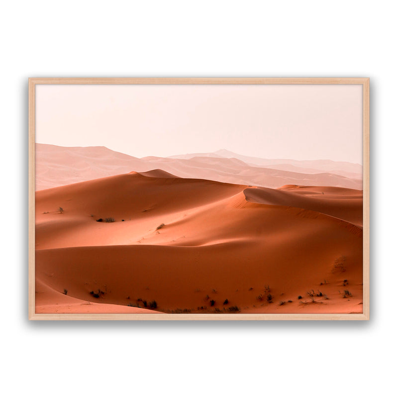 Morocco Sahara 2
